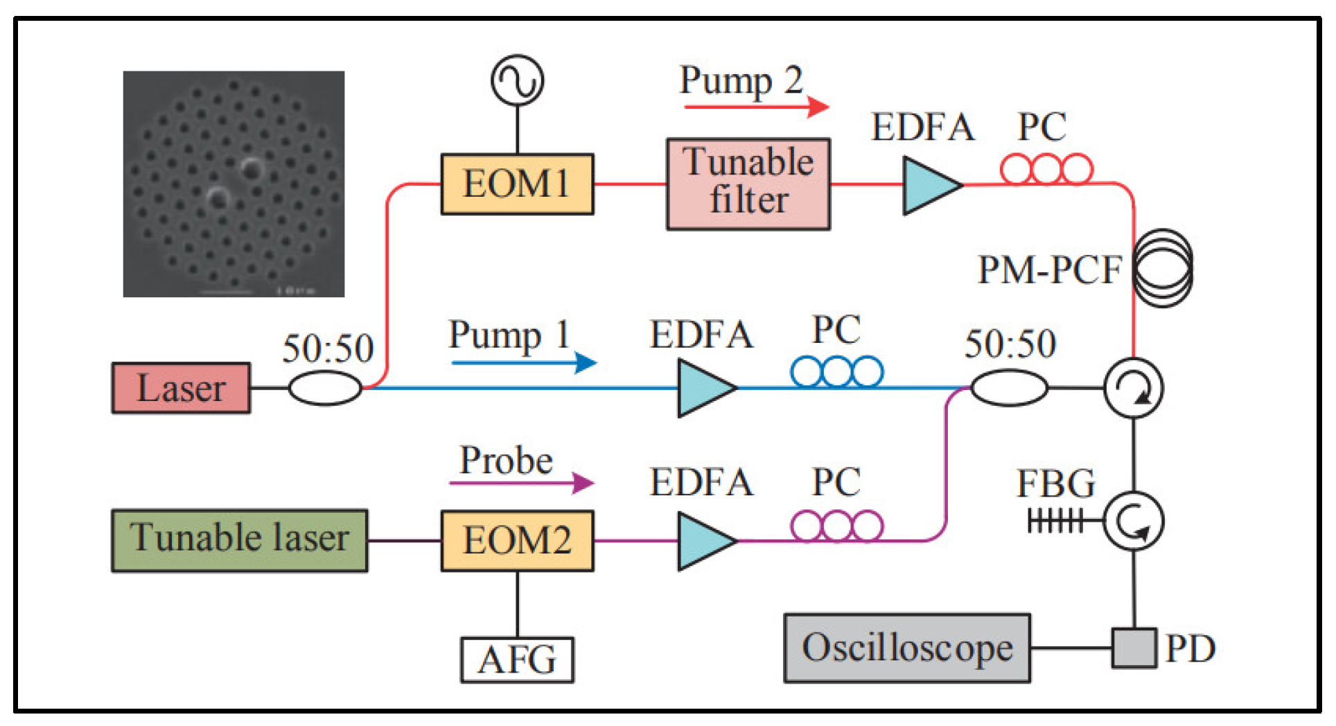 Photonics 08 00421 g005