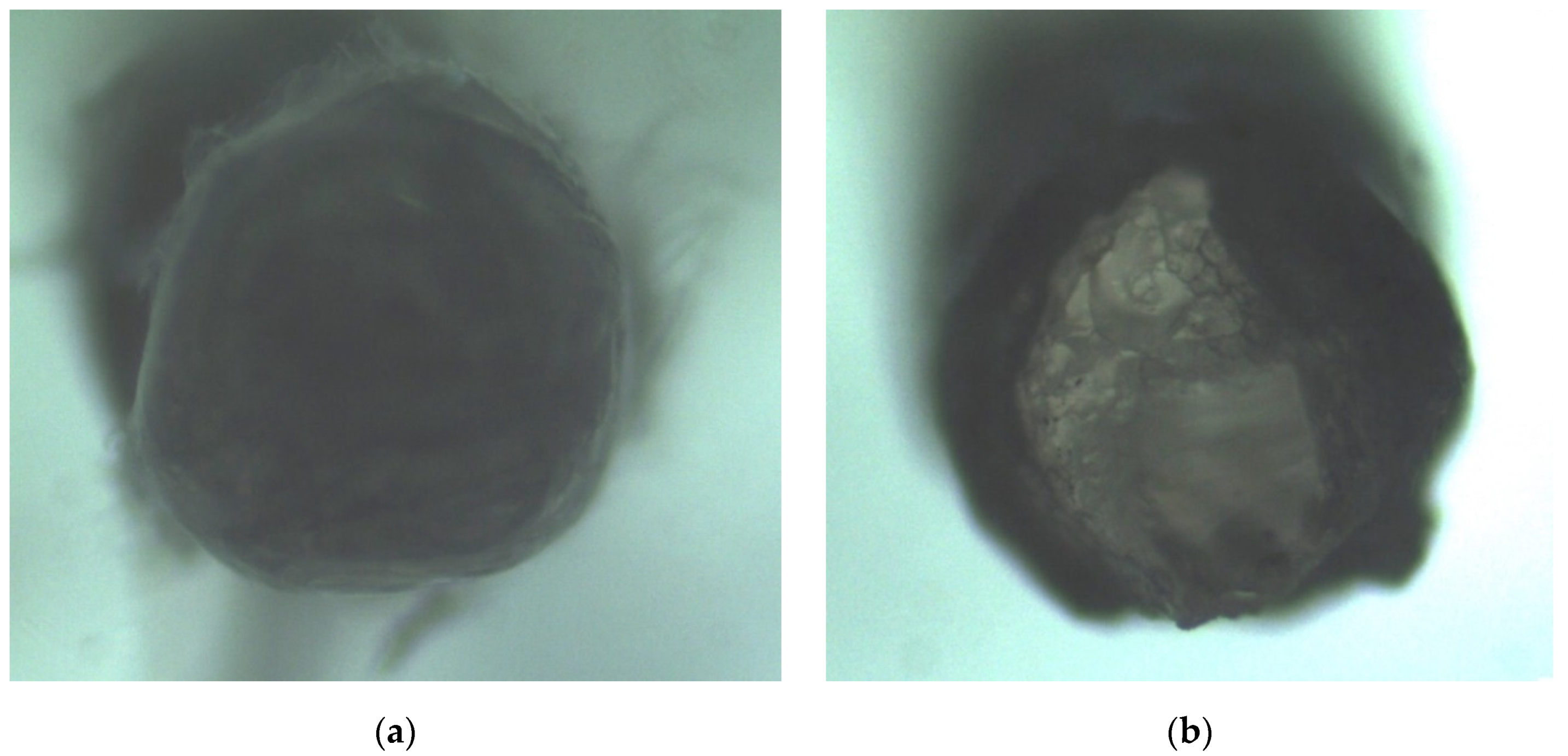 Photonics 08 00423 g007