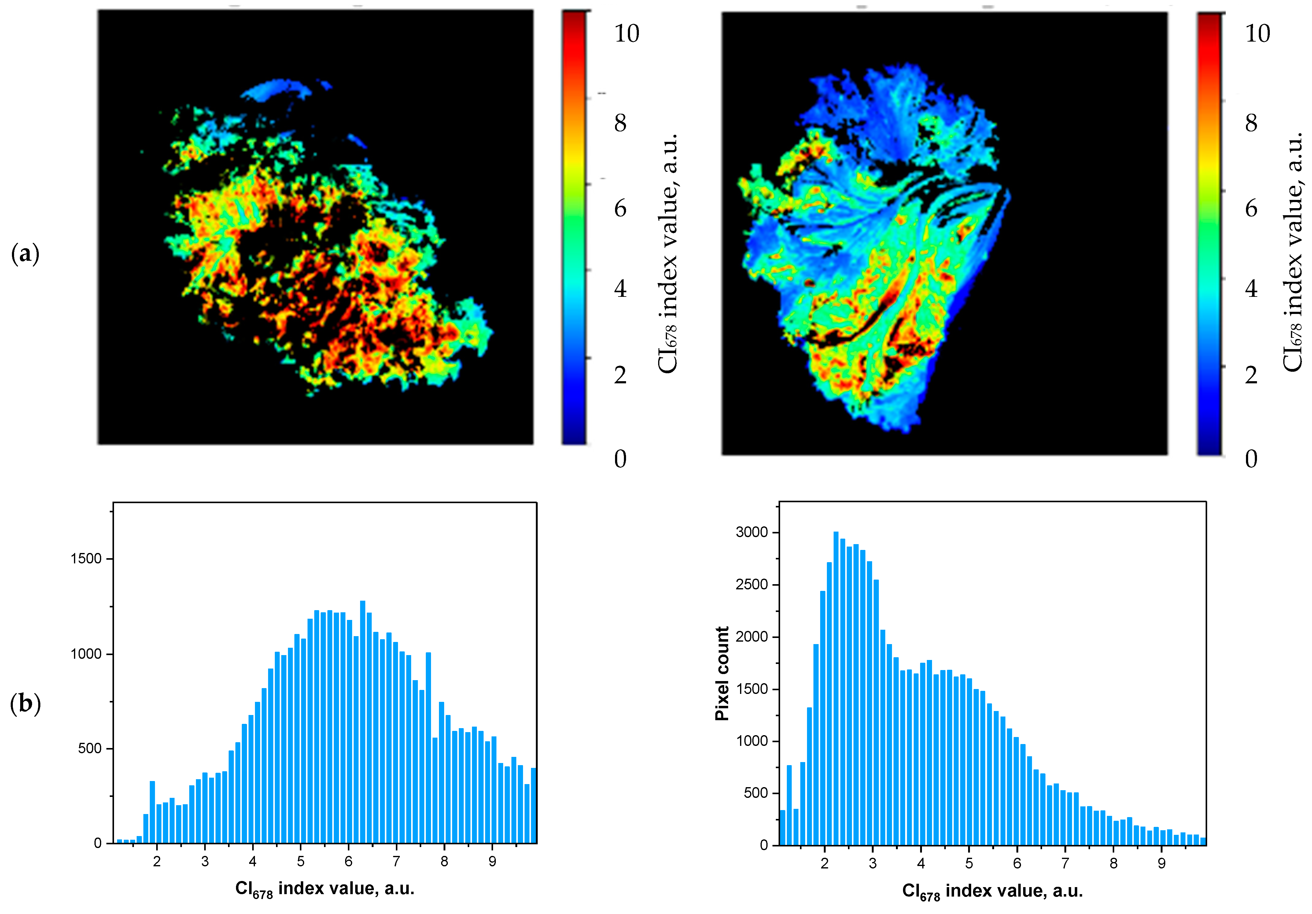 Photonics 08 00425 g006