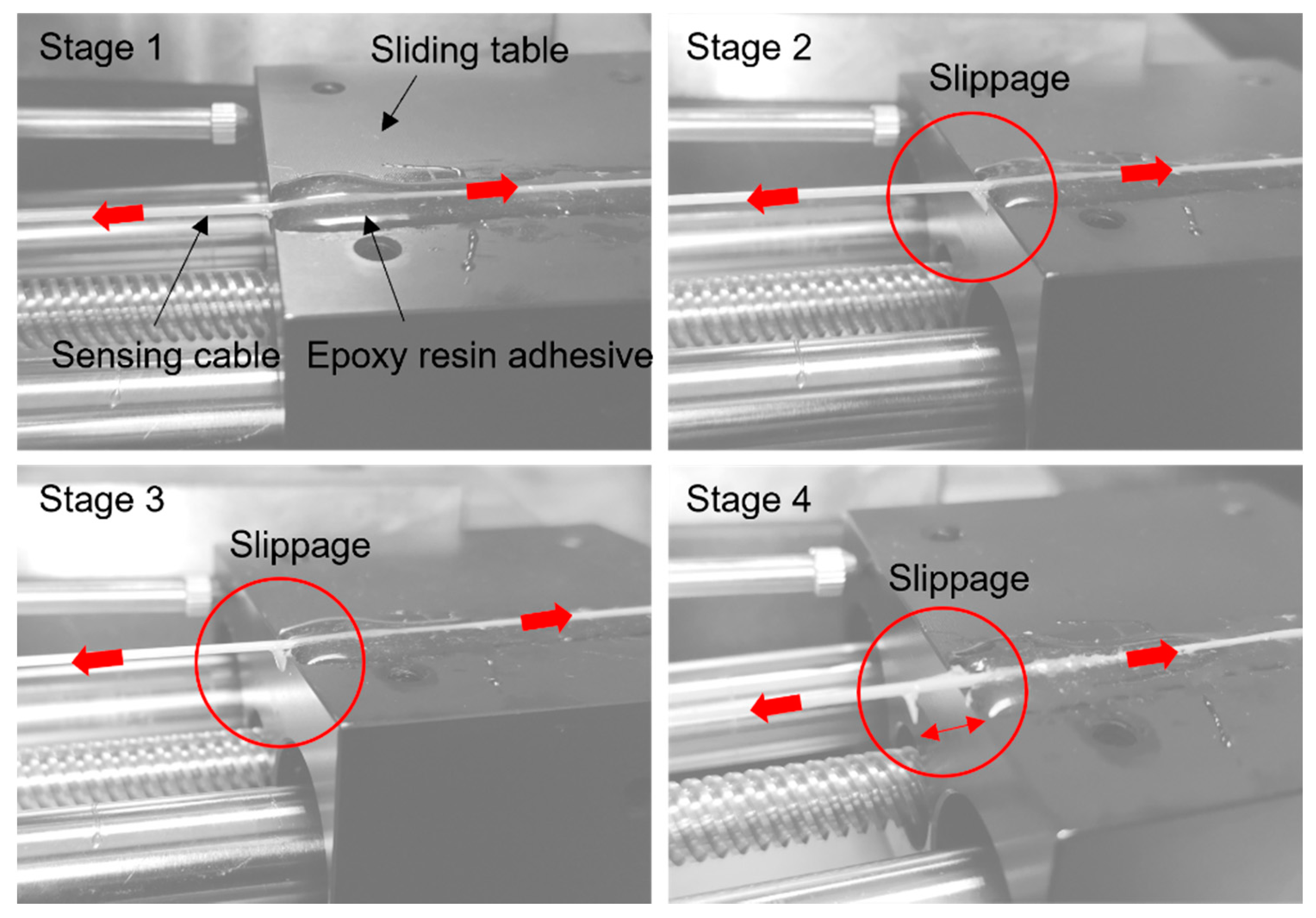 Photonics 08 00429 g011