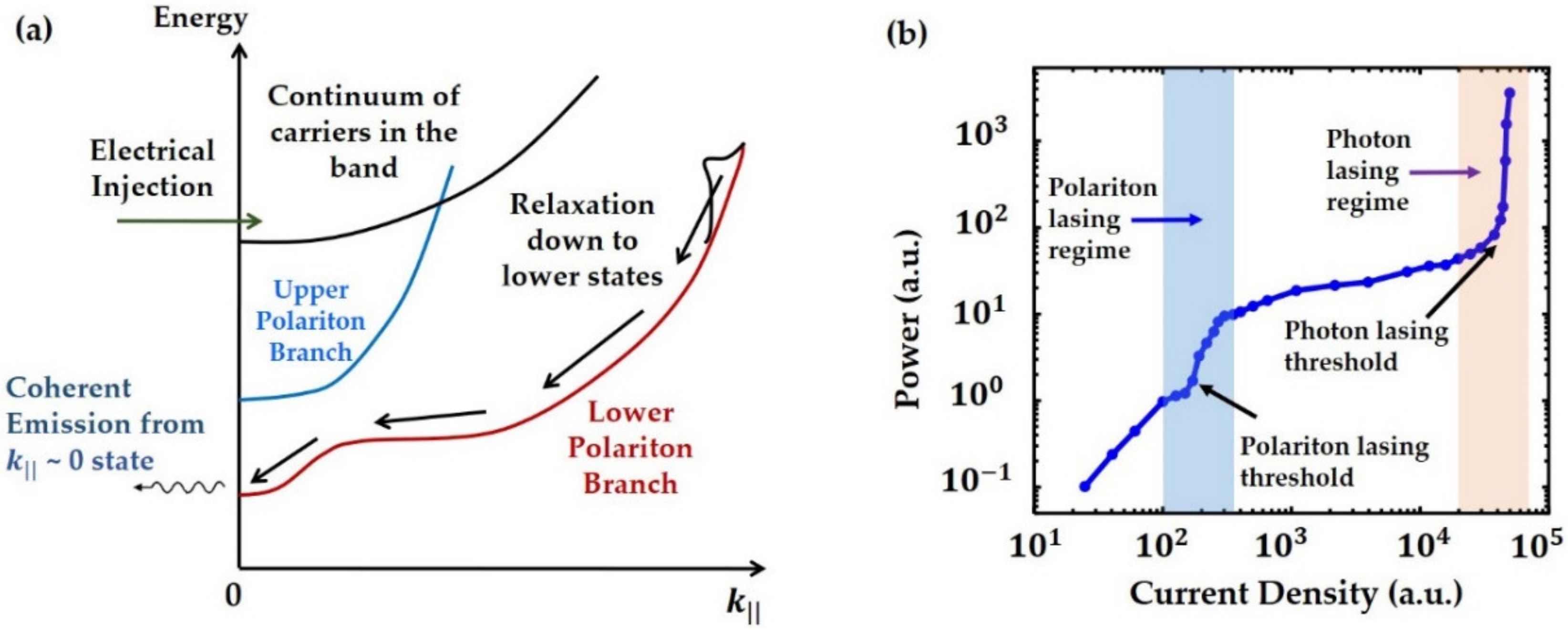Photonics 08 00430 g011
