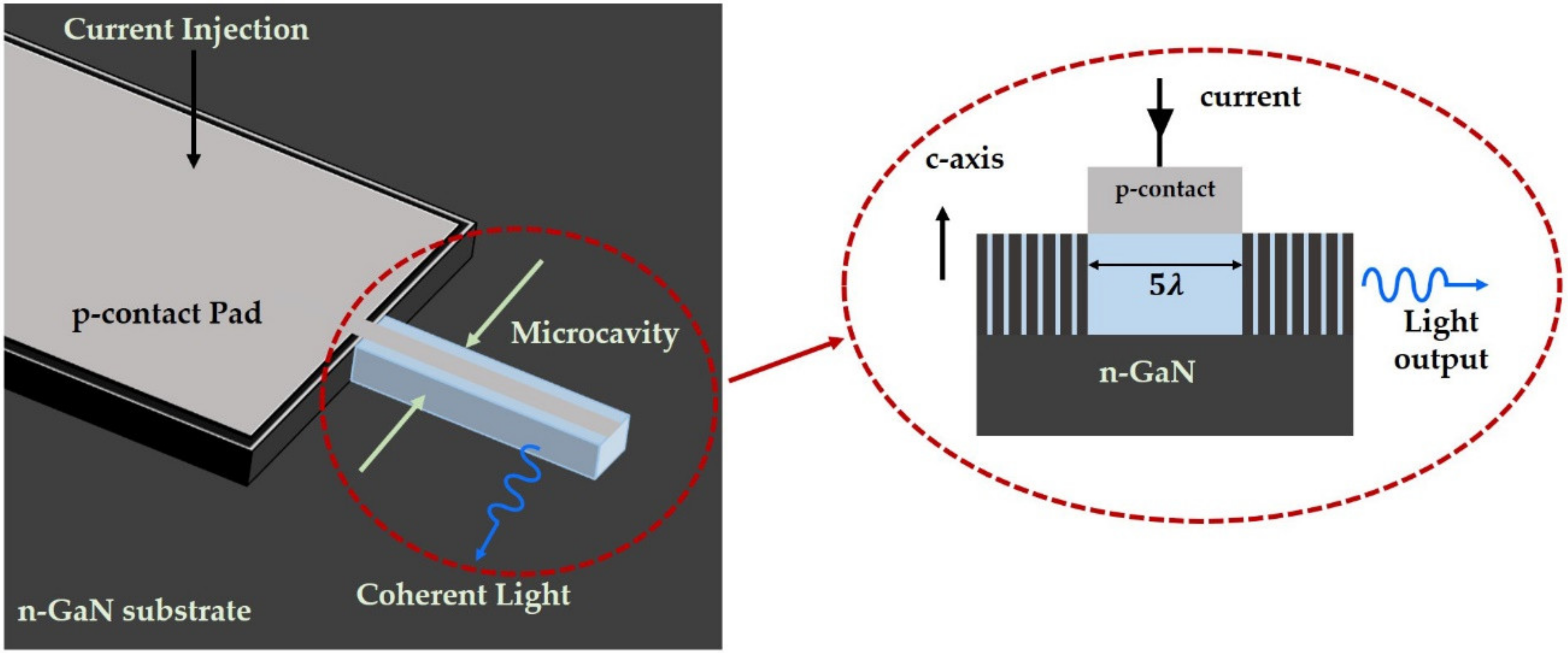 Photonics 08 00430 g012