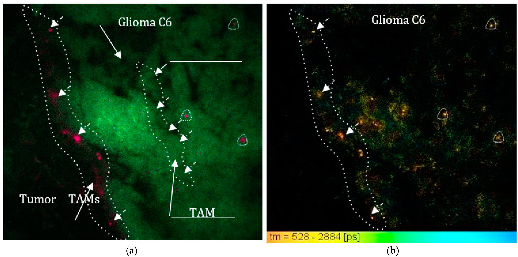 Photonics 08 00462 g003