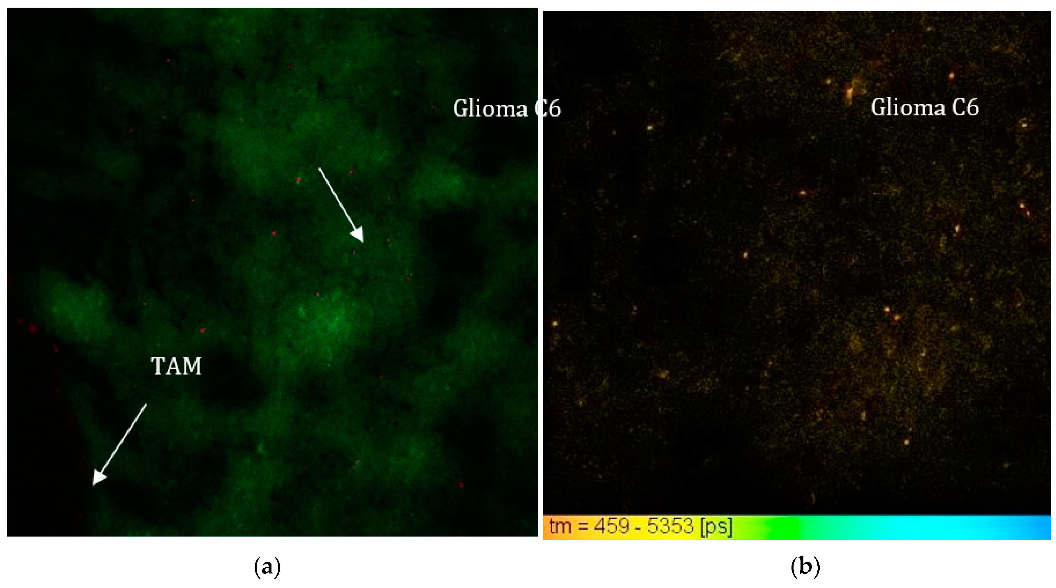 Photonics 08 00462 g004
