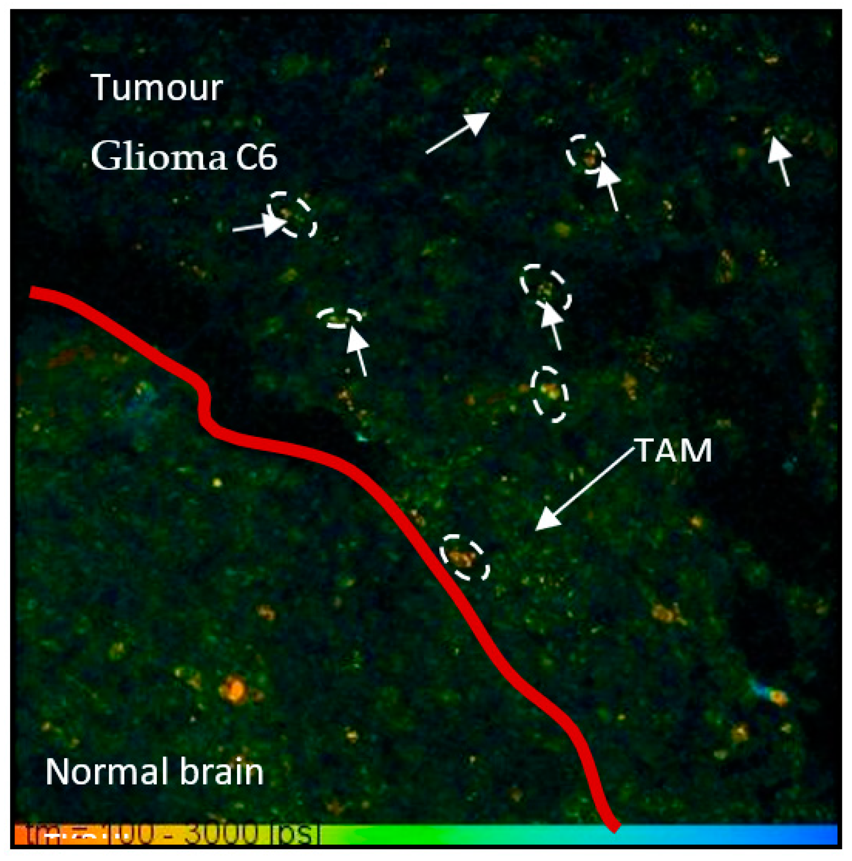 Photonics 08 00462 g006