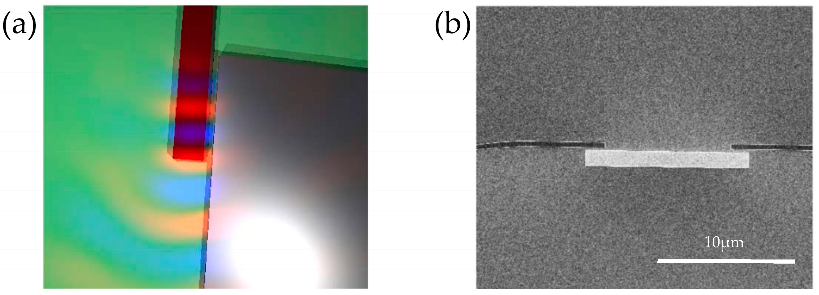 Photonics 08 00482 g010