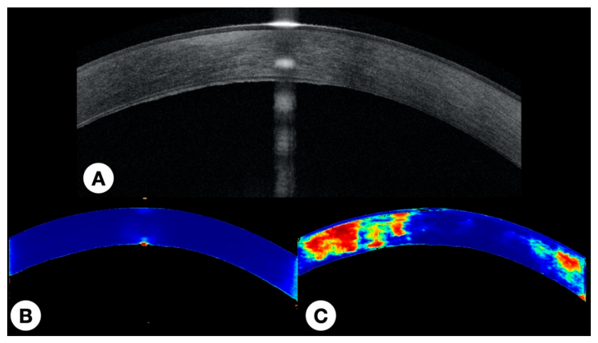 Photonics 08 00483 g007