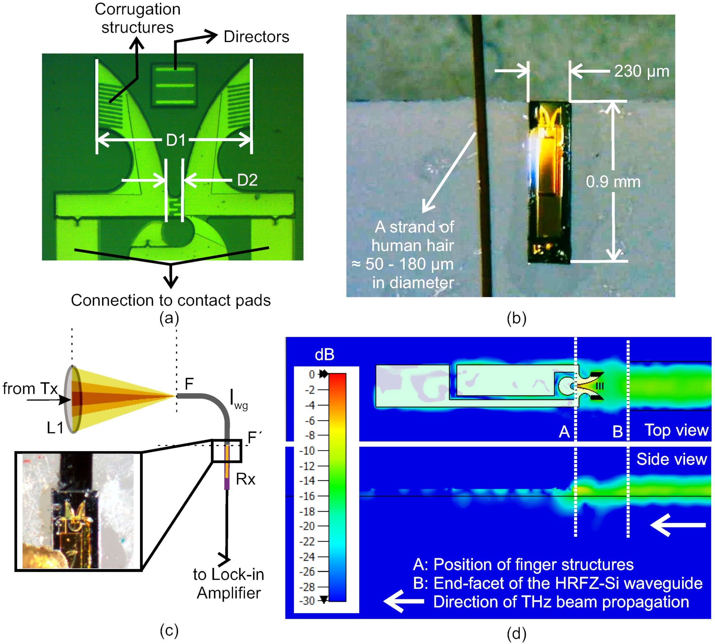 Photonics 08 00492 g005