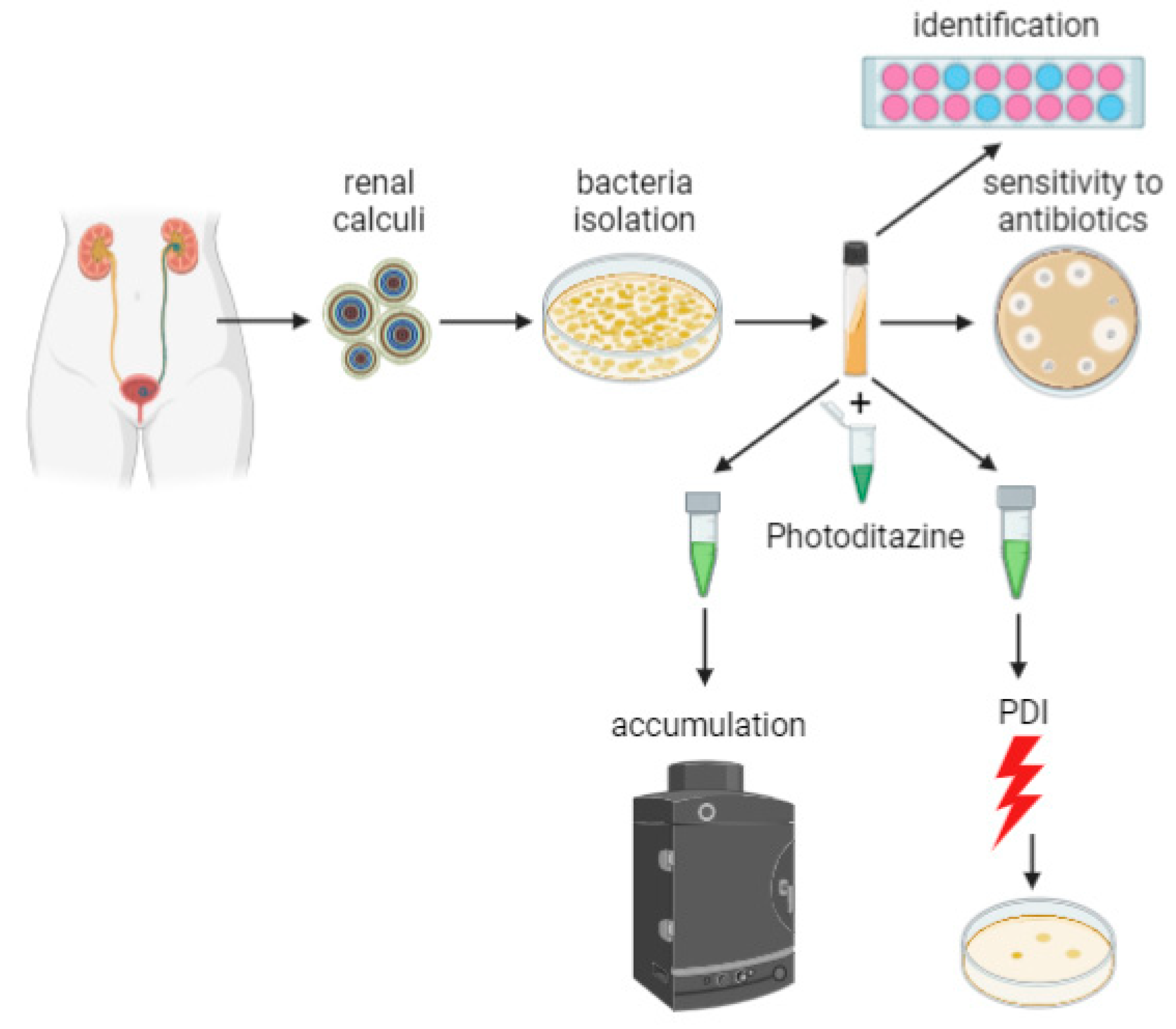 Photonics 08 00495 g001
