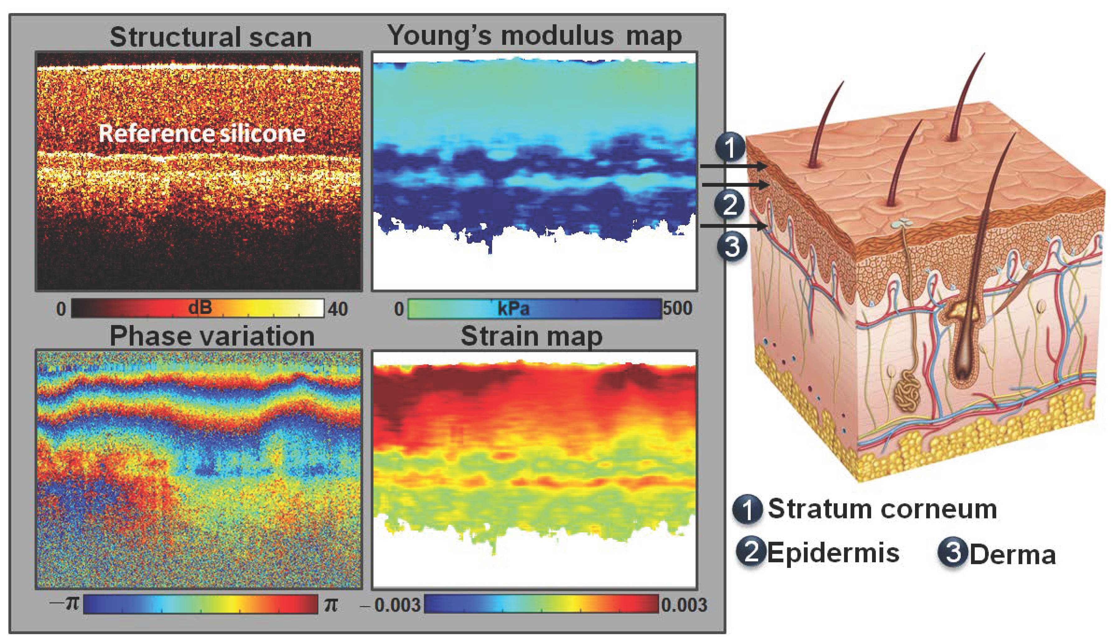 Photonics 08 00527 g008