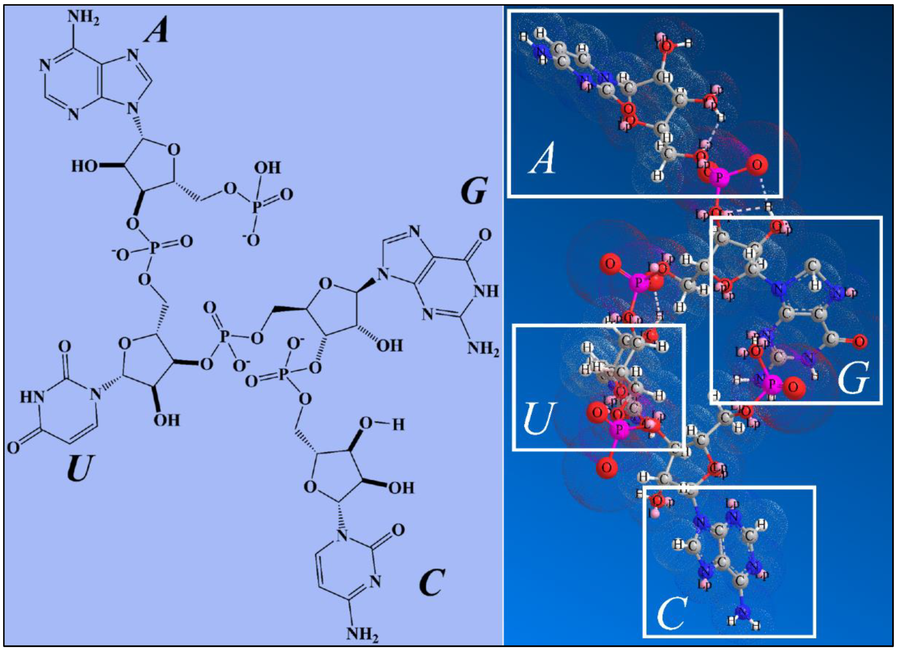 Photonics 08 00540 g006 Photonics 08 00540 g006