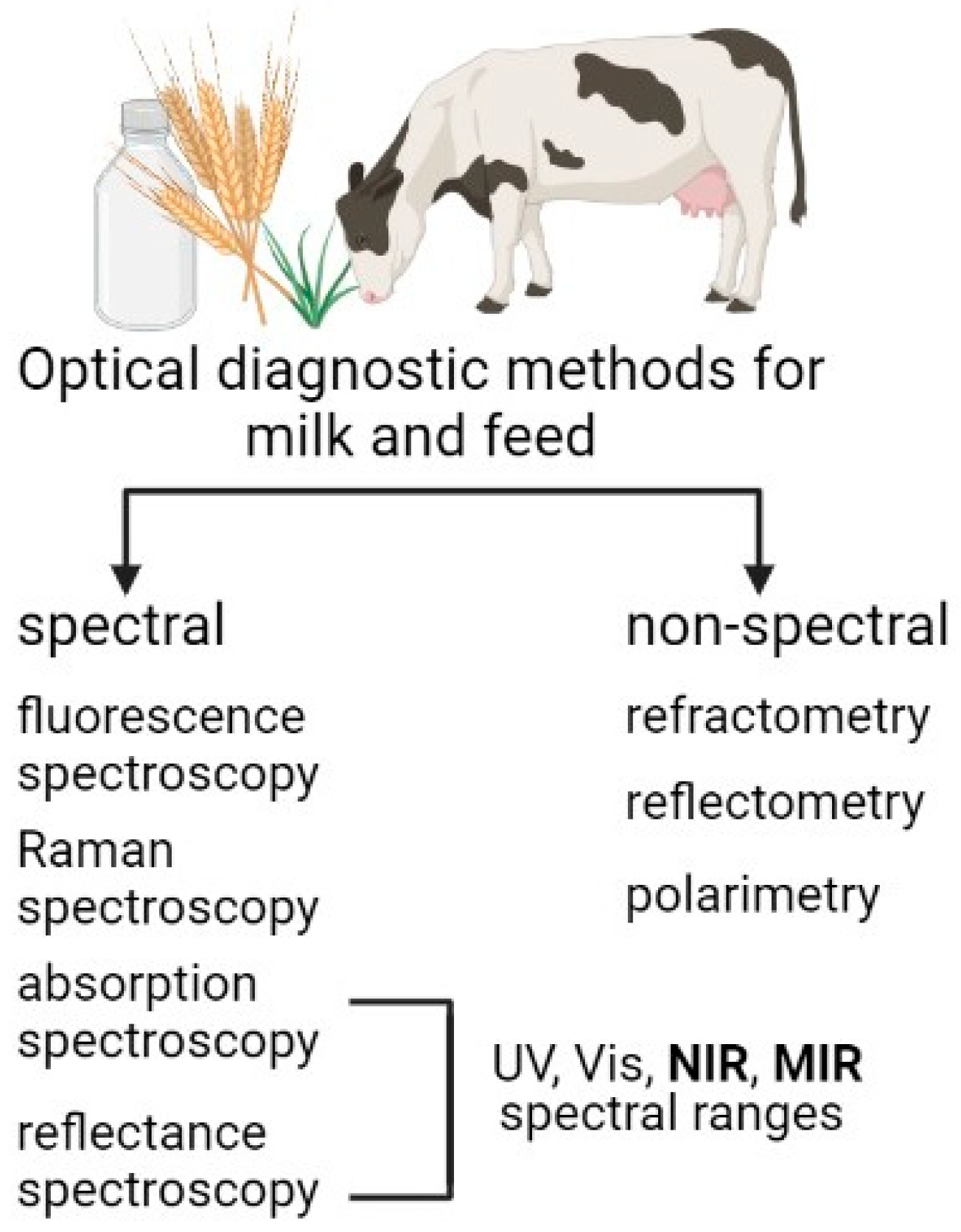 Photonics 08 00551 g001