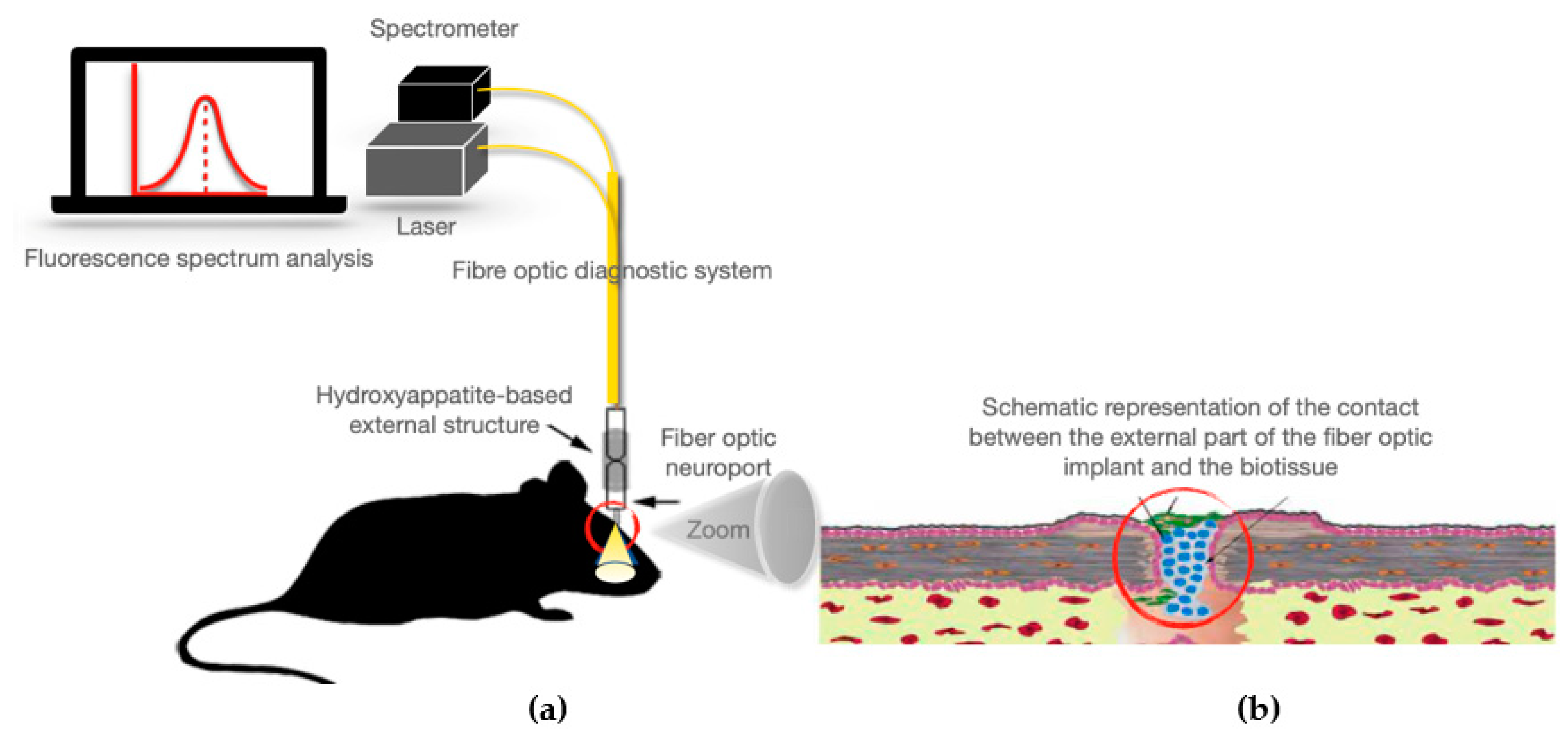 Photonics 08 00556 g001