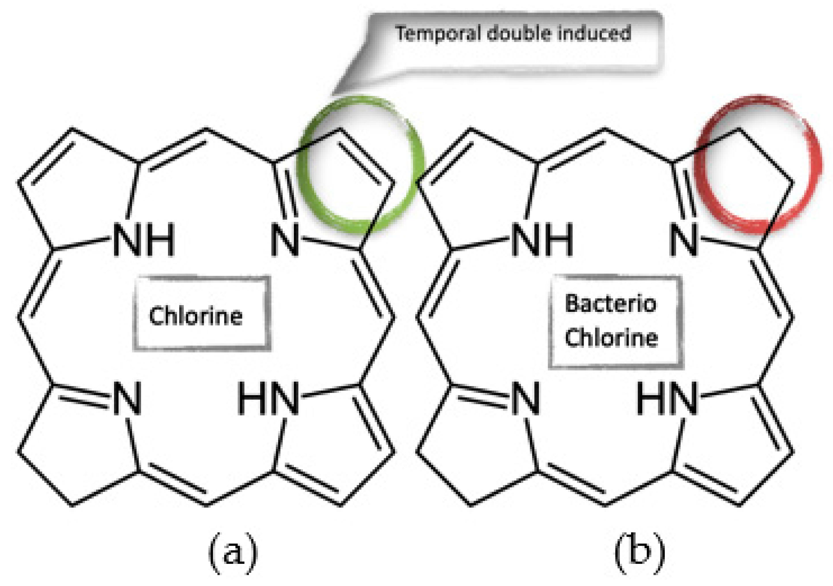 Photonics 08 00556 g005