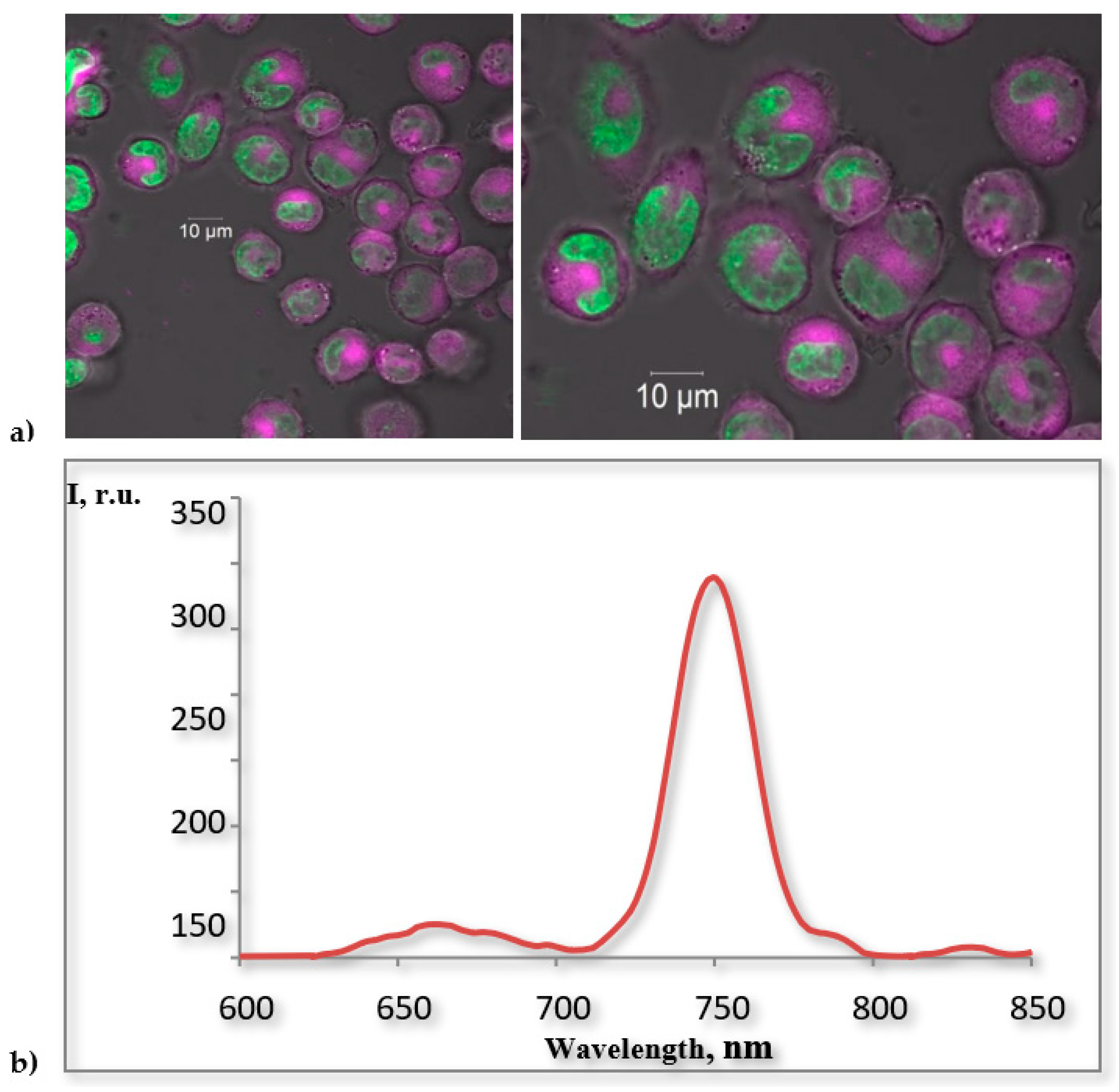 Photonics 08 00556 g007