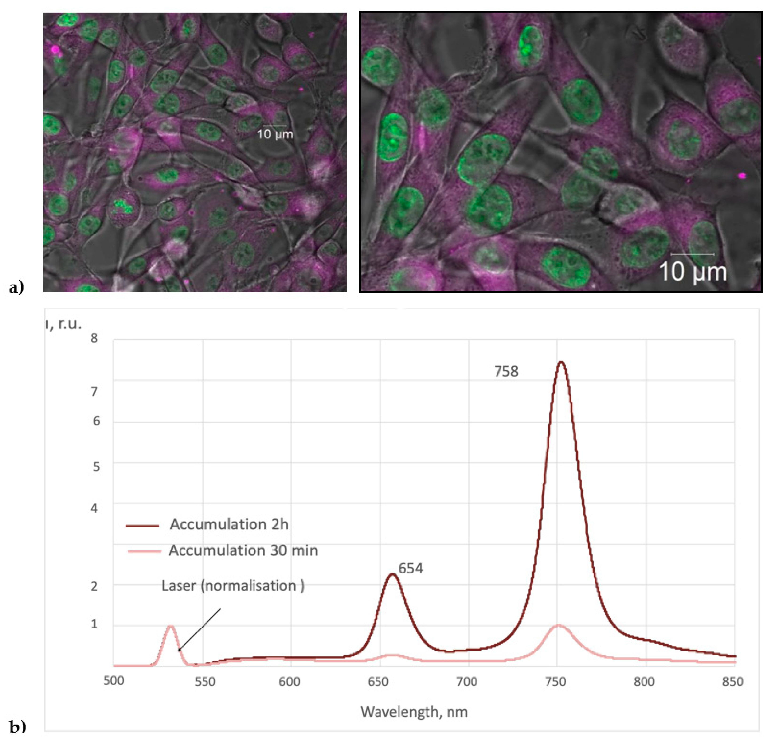 Photonics 08 00556 g008