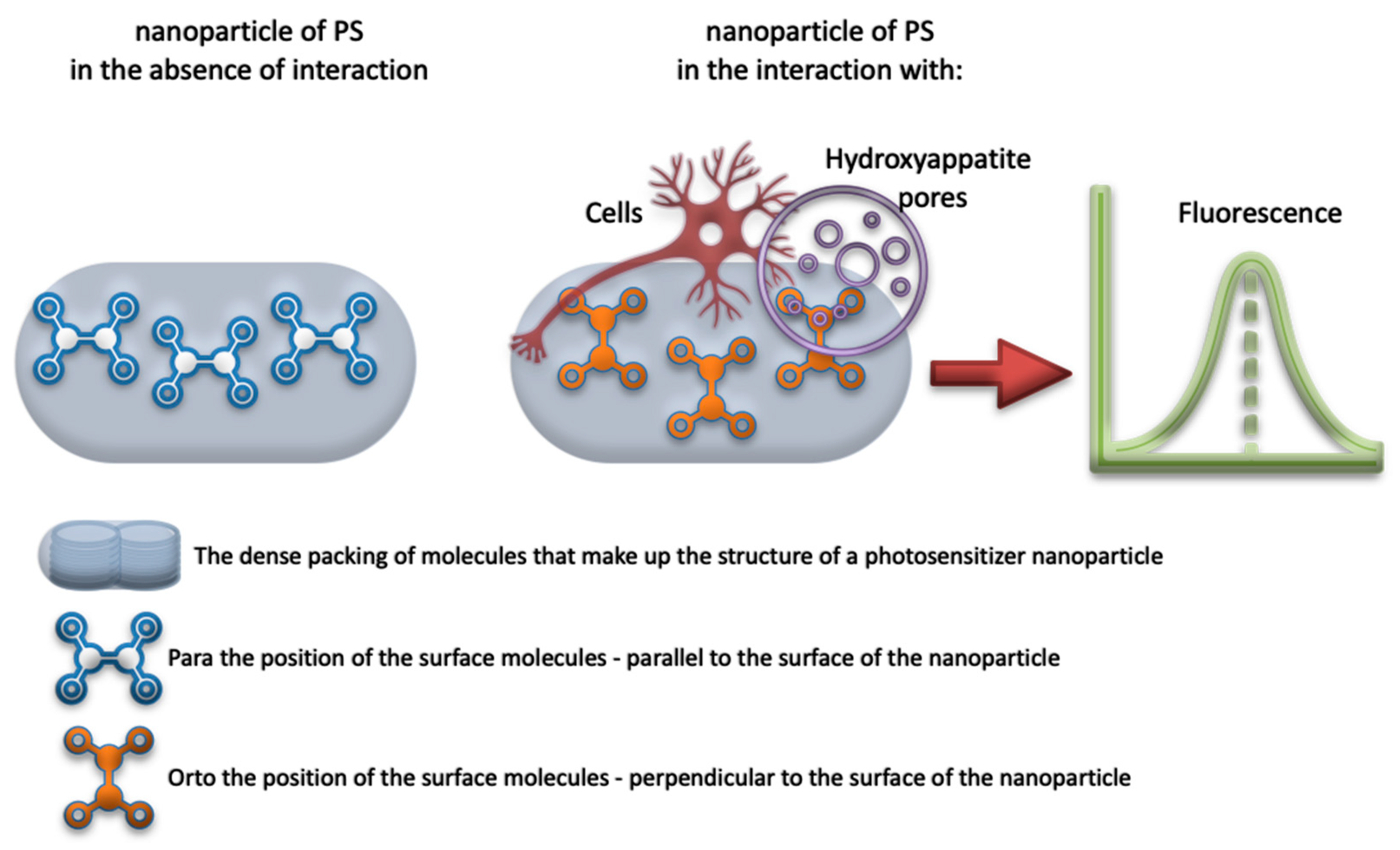 Photonics 08 00556 g009