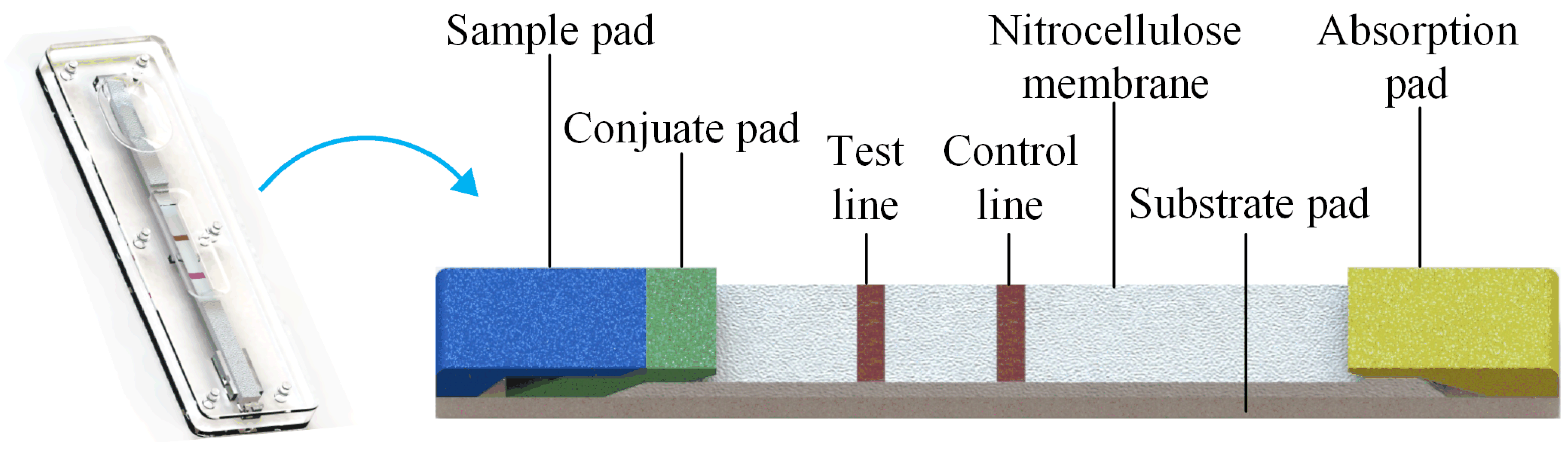Photonics 08 00576 g001