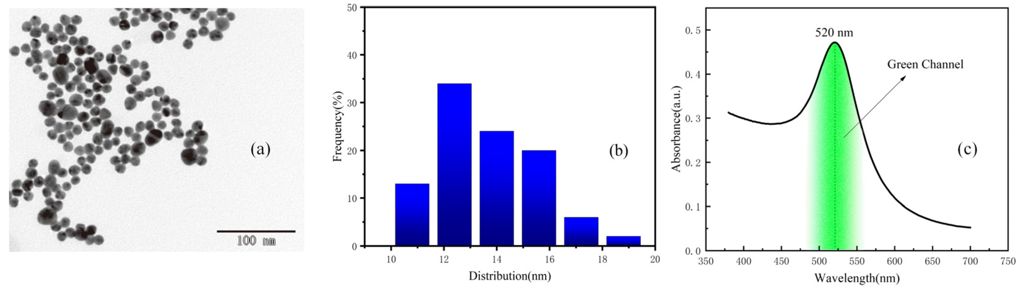 Photonics 08 00576 g002