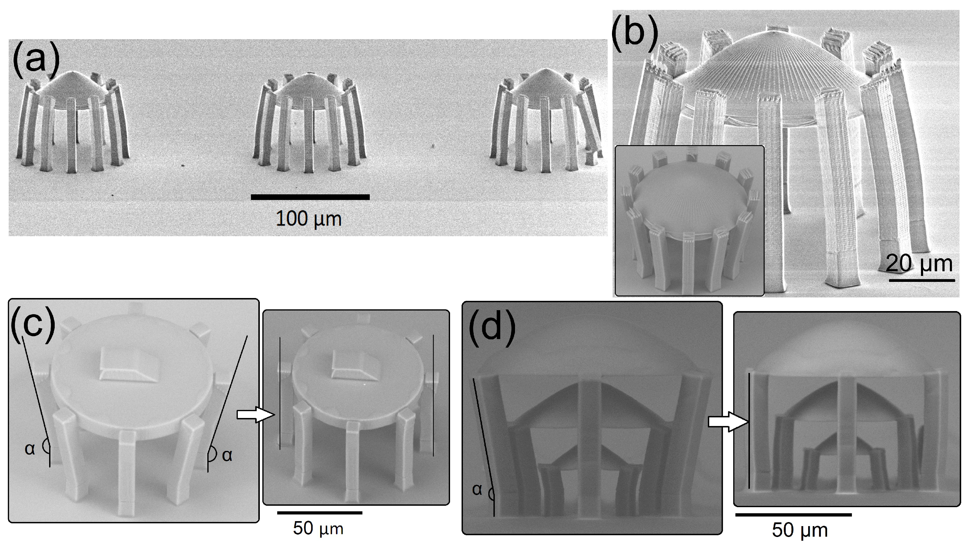 Photonics 08 00577 g005