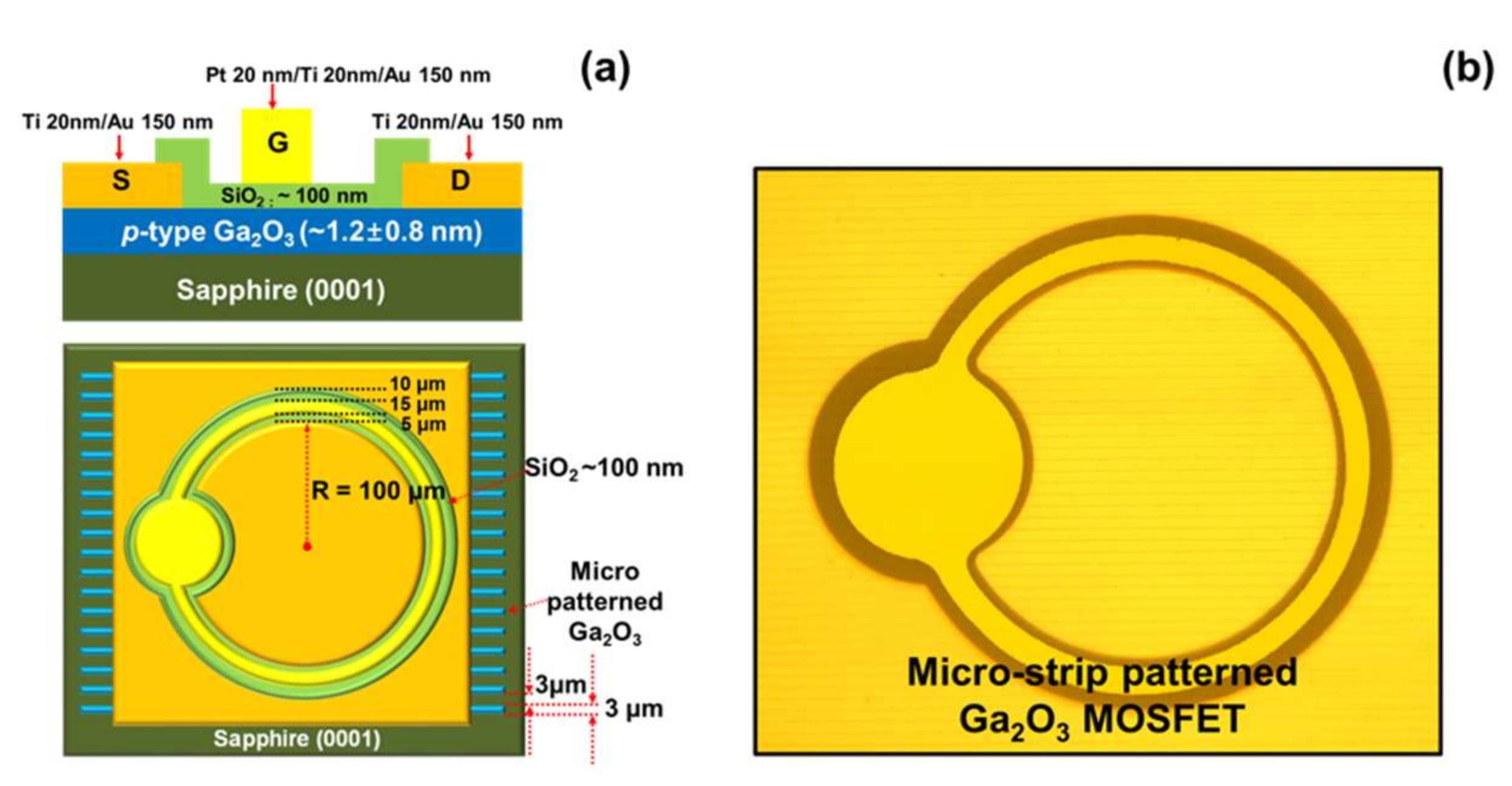 Photonics 08 00578 g004