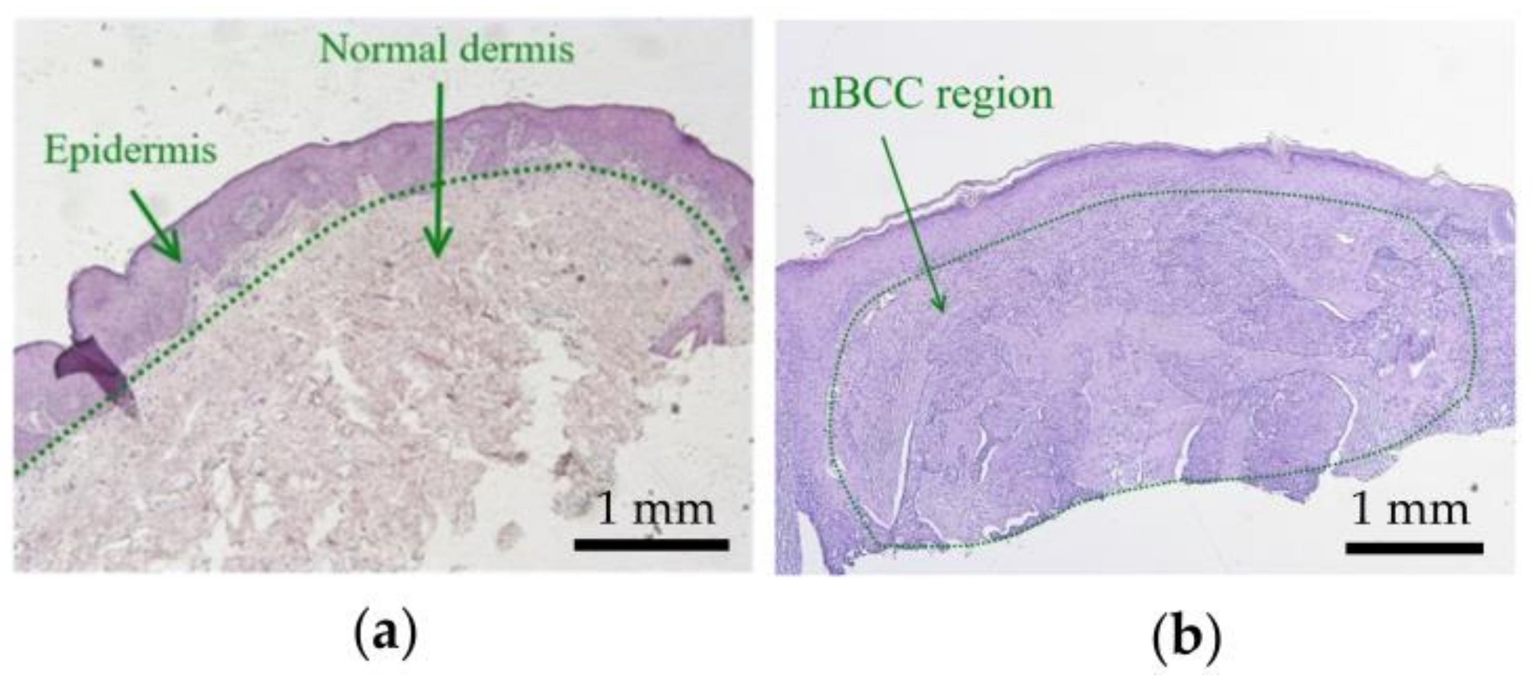 Photonics 08 00580 g001