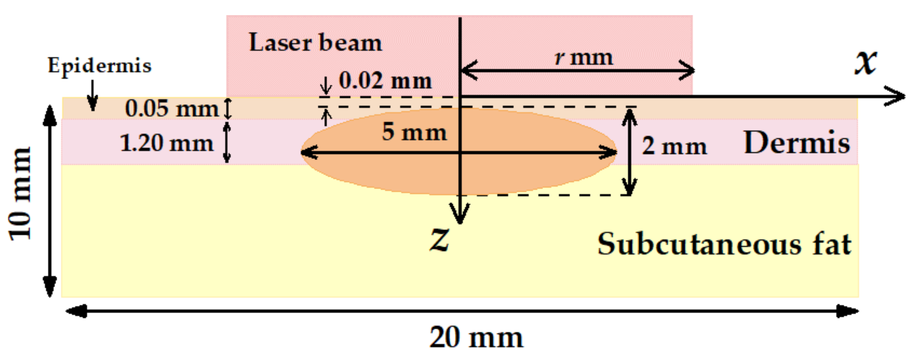 Photonics 08 00580 g002