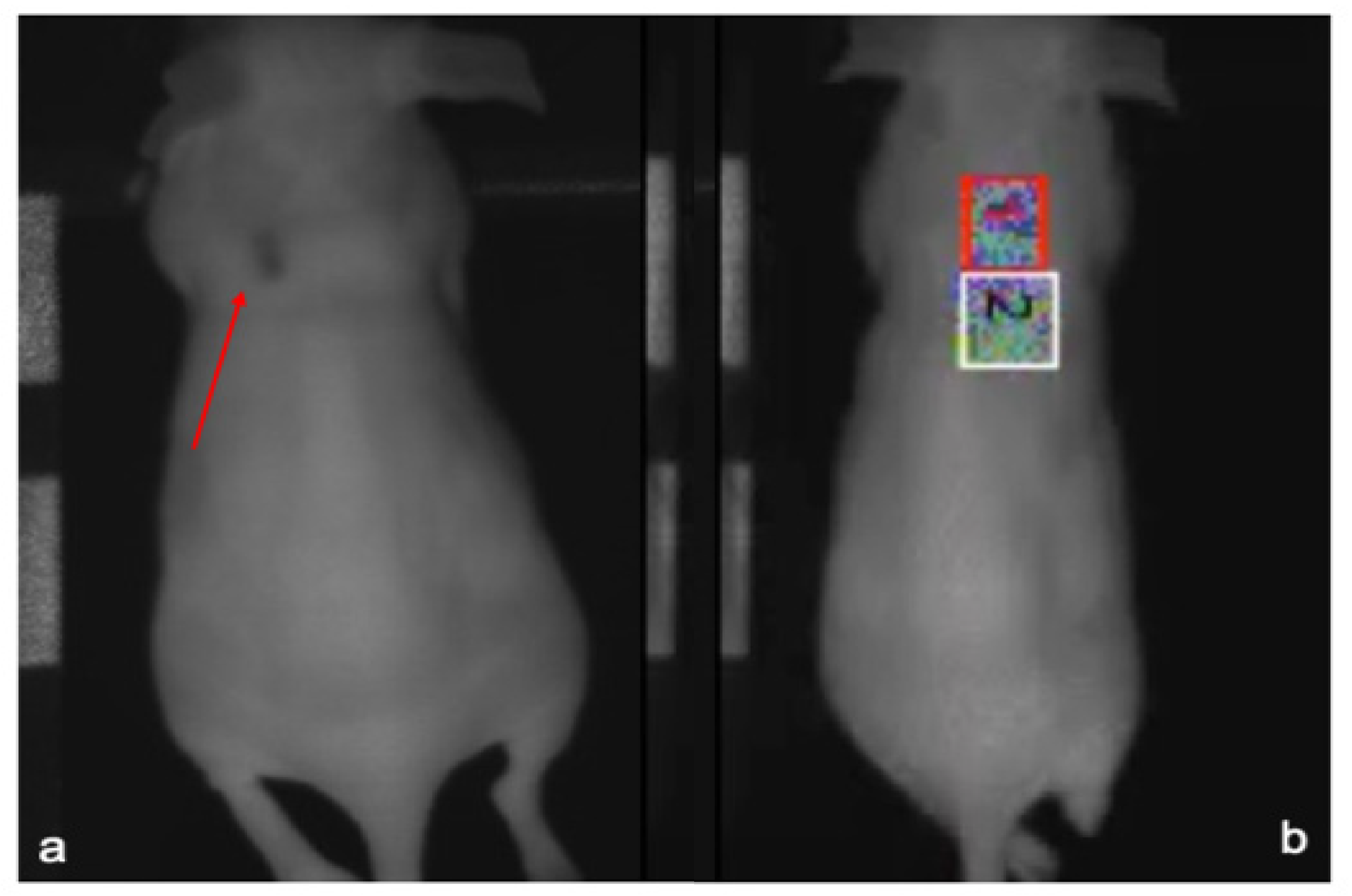 Photonics 09 00010 g001