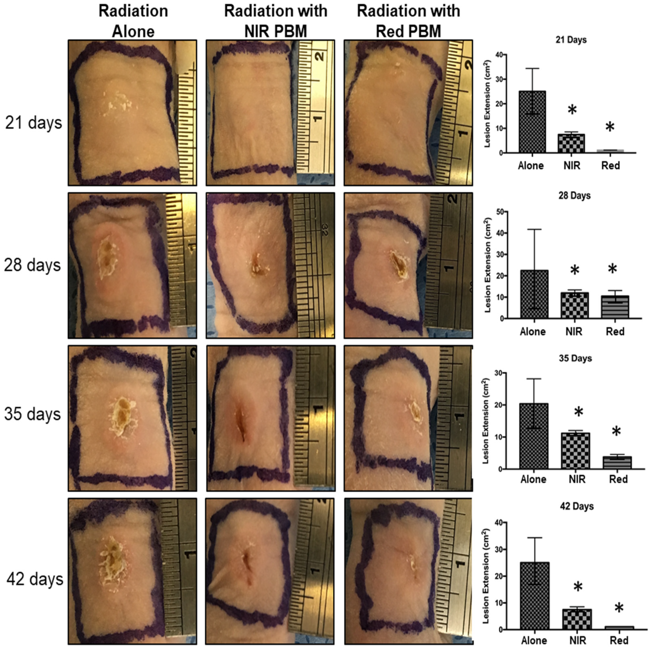 Photonics 09 00010 g002