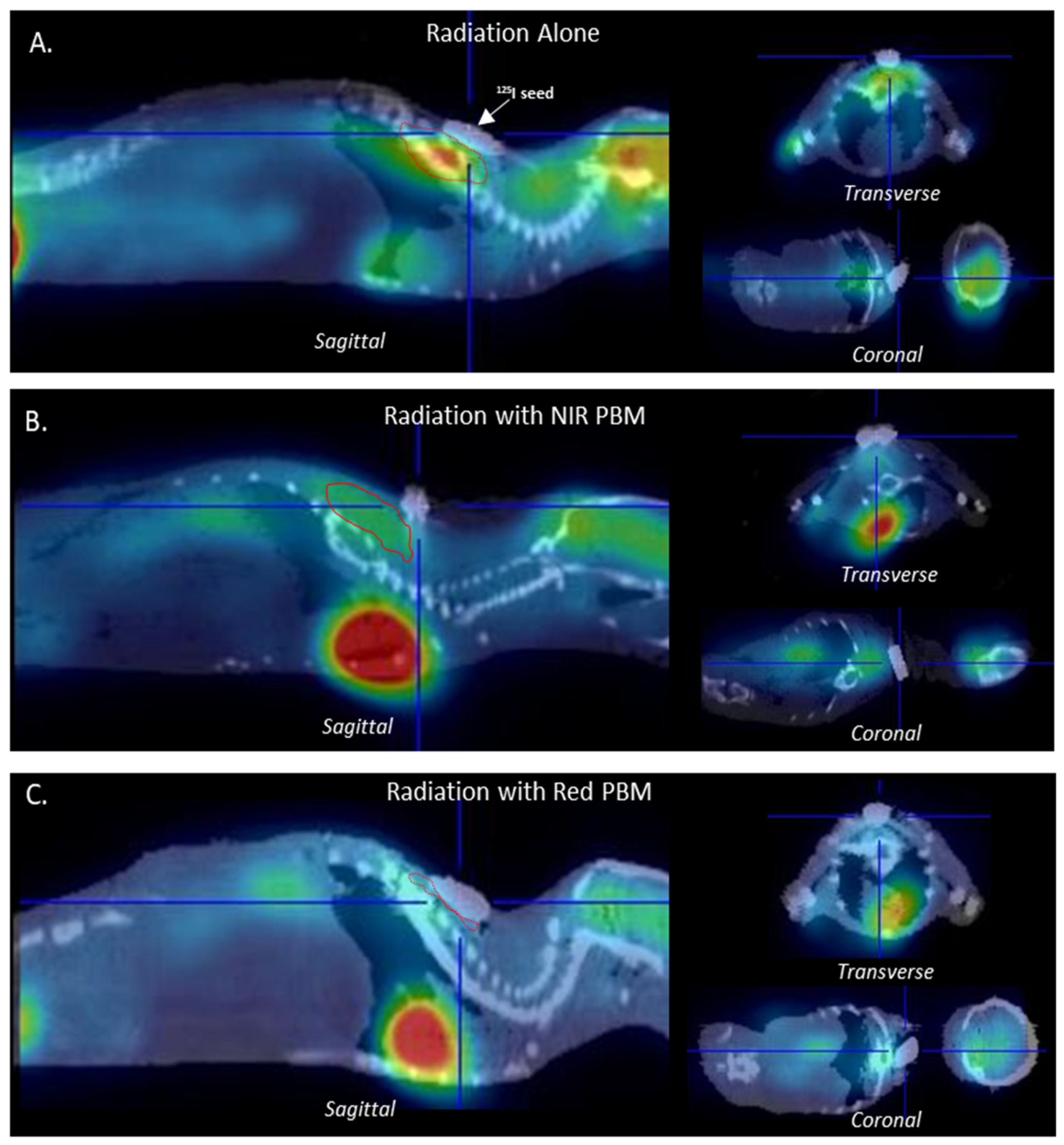 Photonics 09 00010 g005