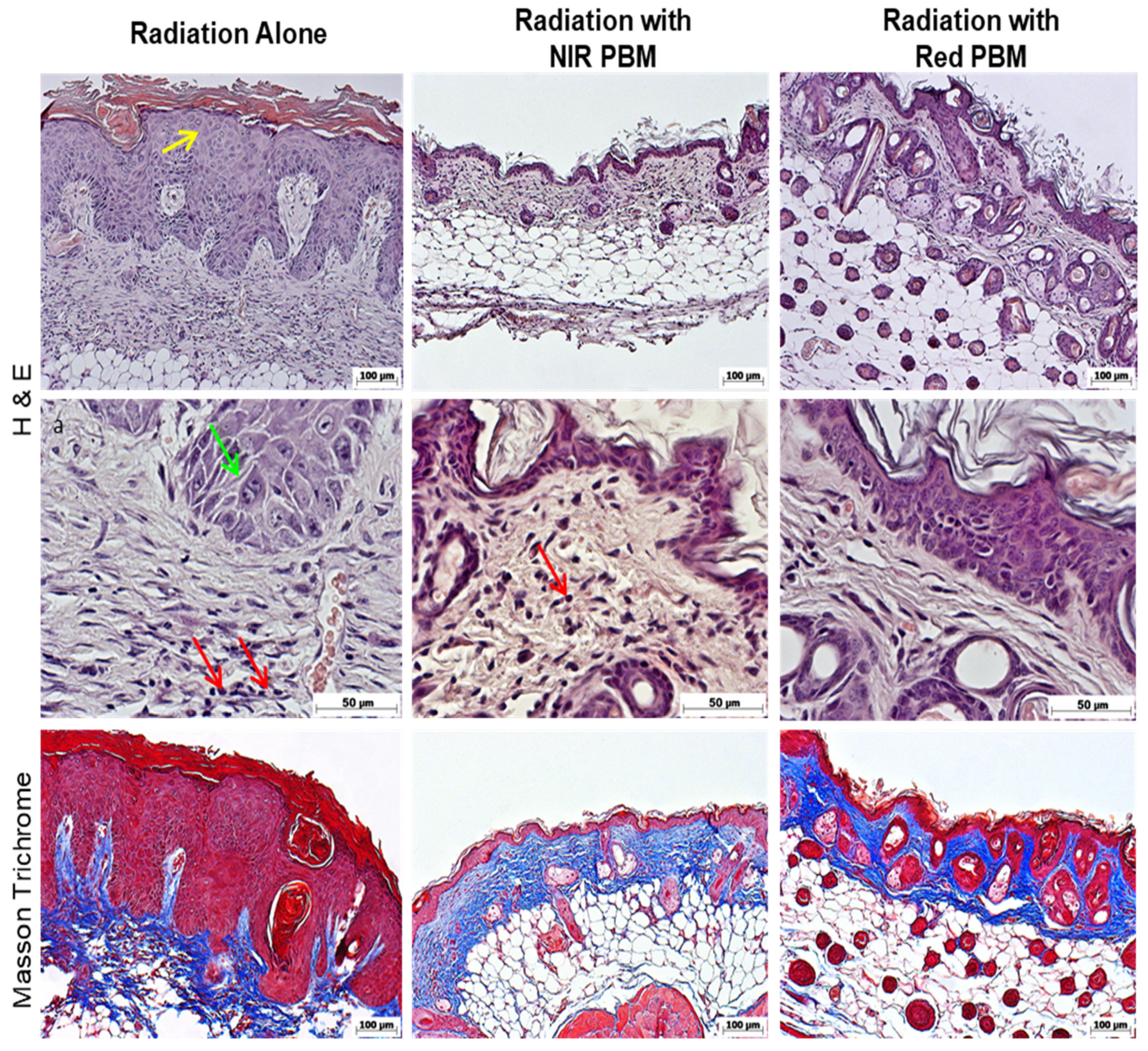 Photonics 09 00010 g006