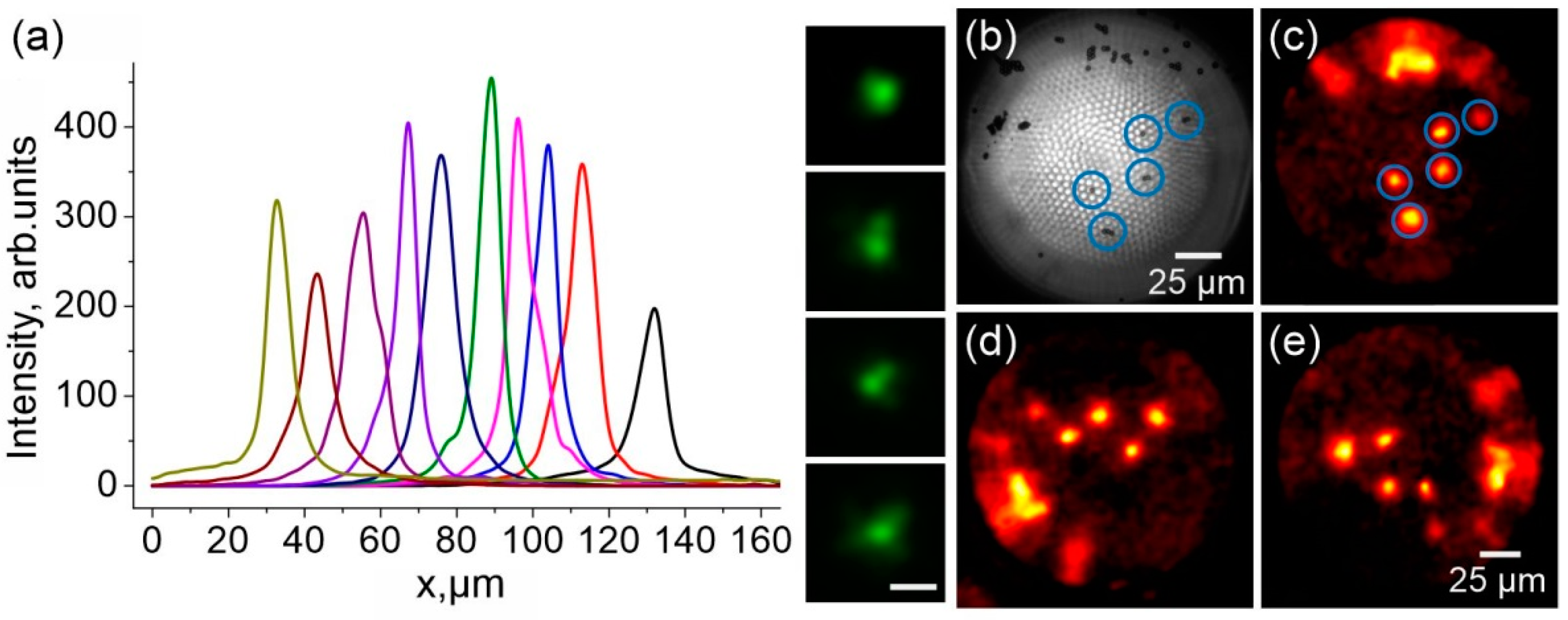 Photonics 09 00021 g002