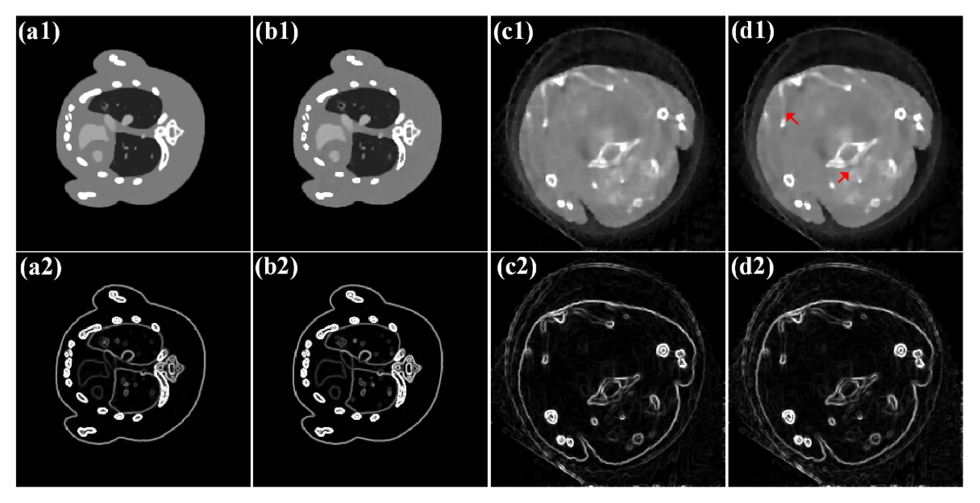 Photonics 09 00035 g013