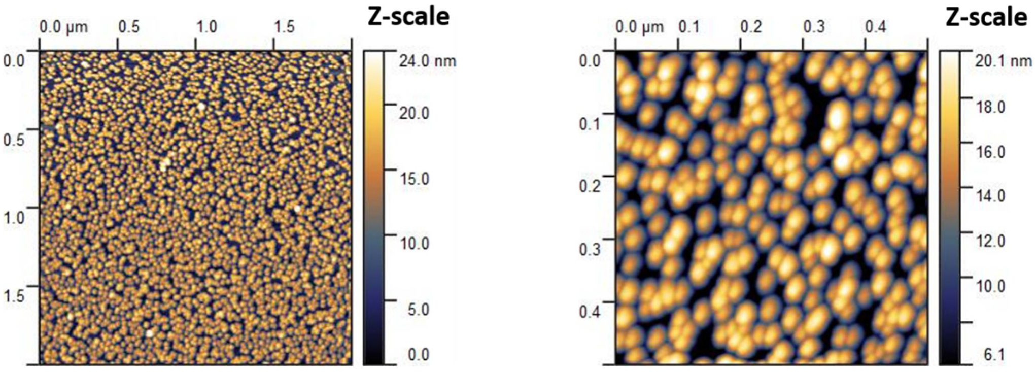 Photonics 09 00055 g002
