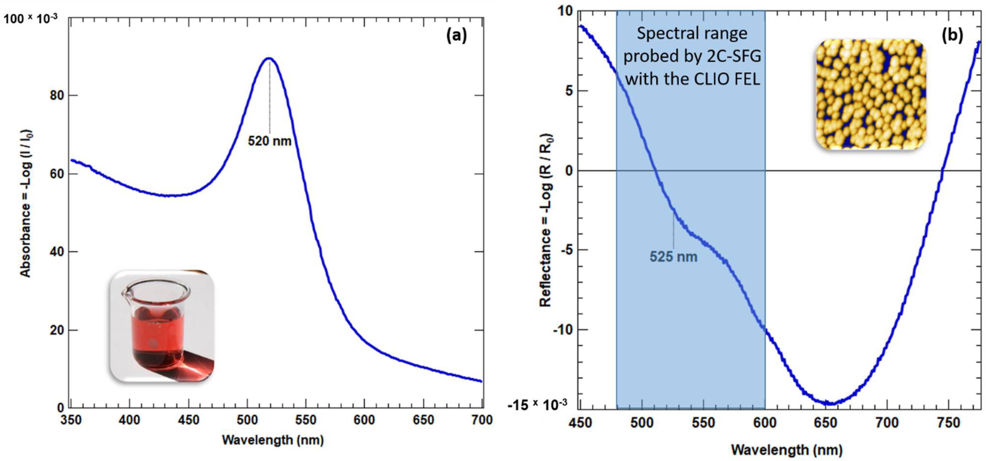 Photonics 09 00055 g003