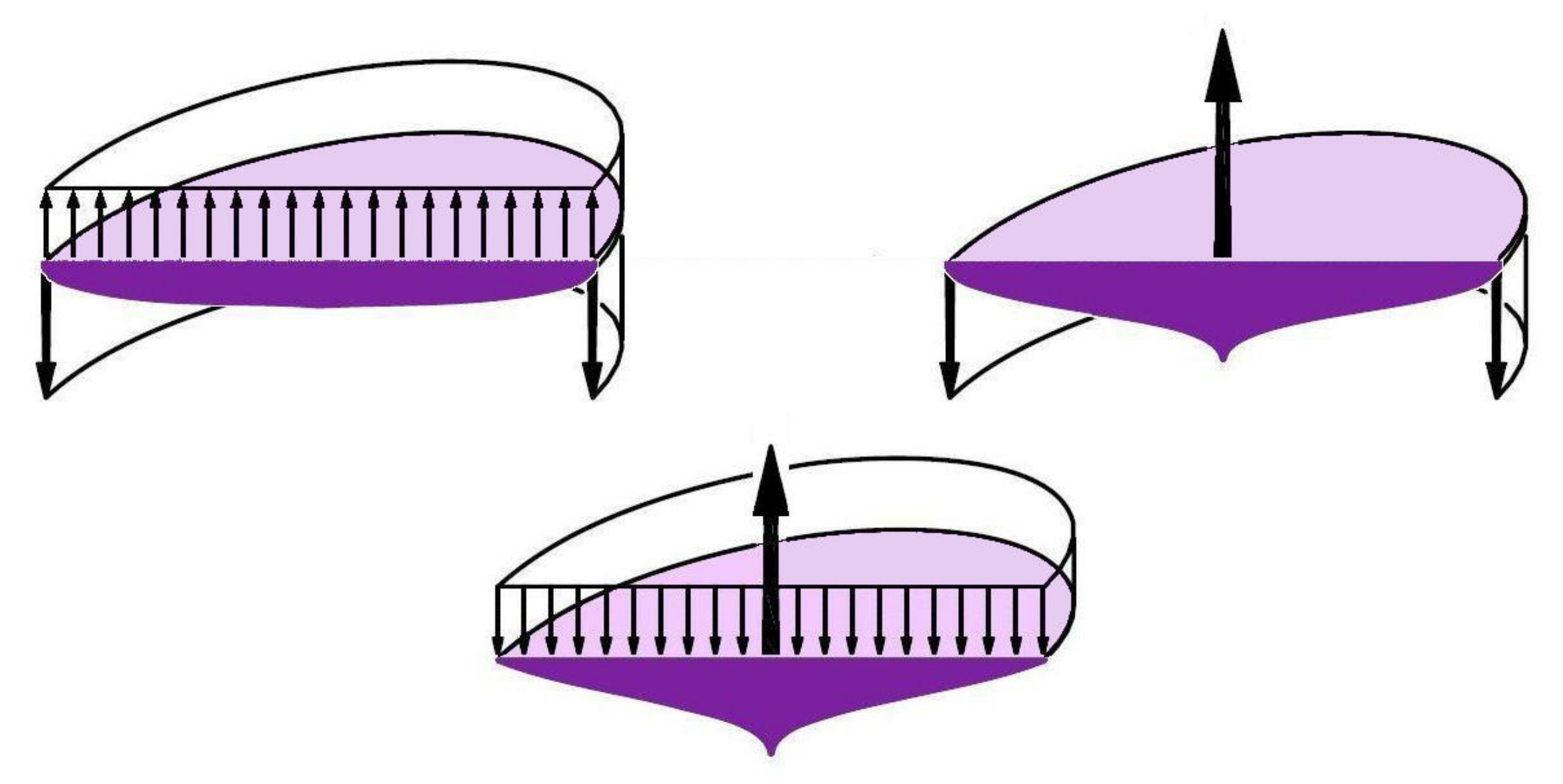 Photonics 09 00066 g002