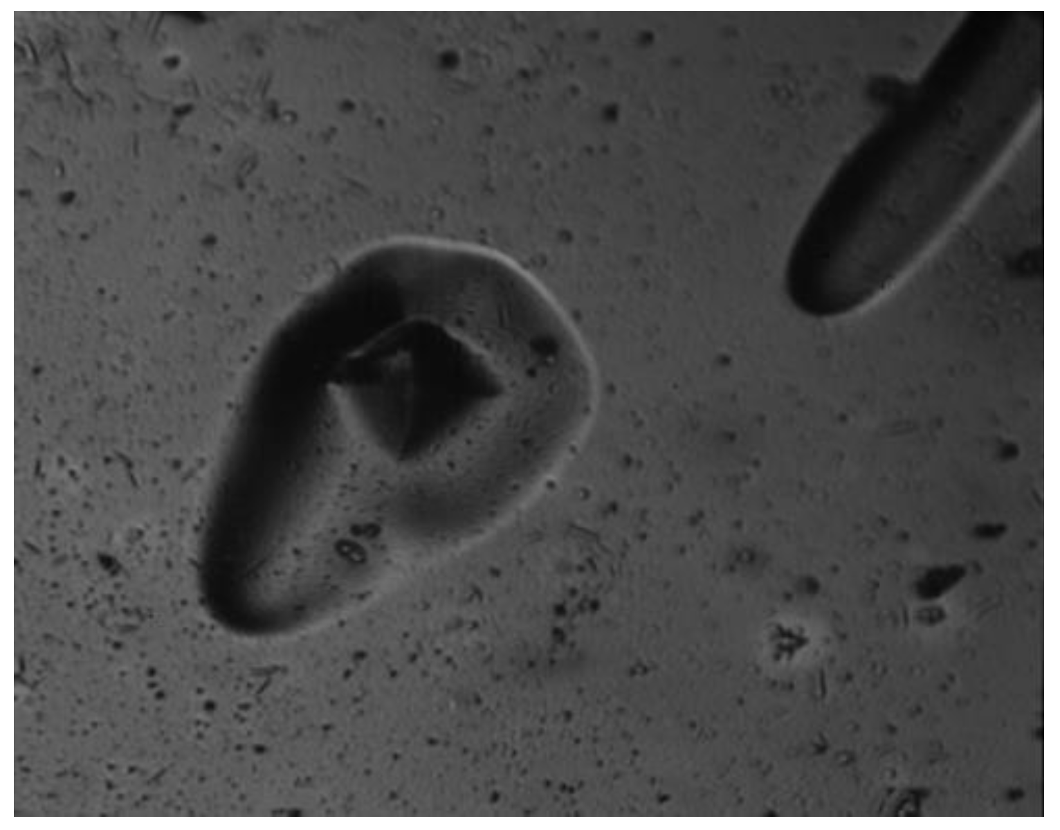 Photonics 09 00068 g012