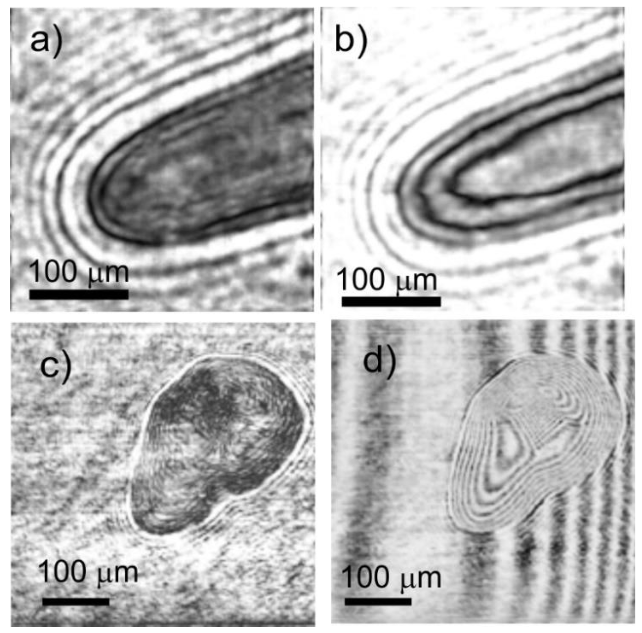 Photonics 09 00068 g013