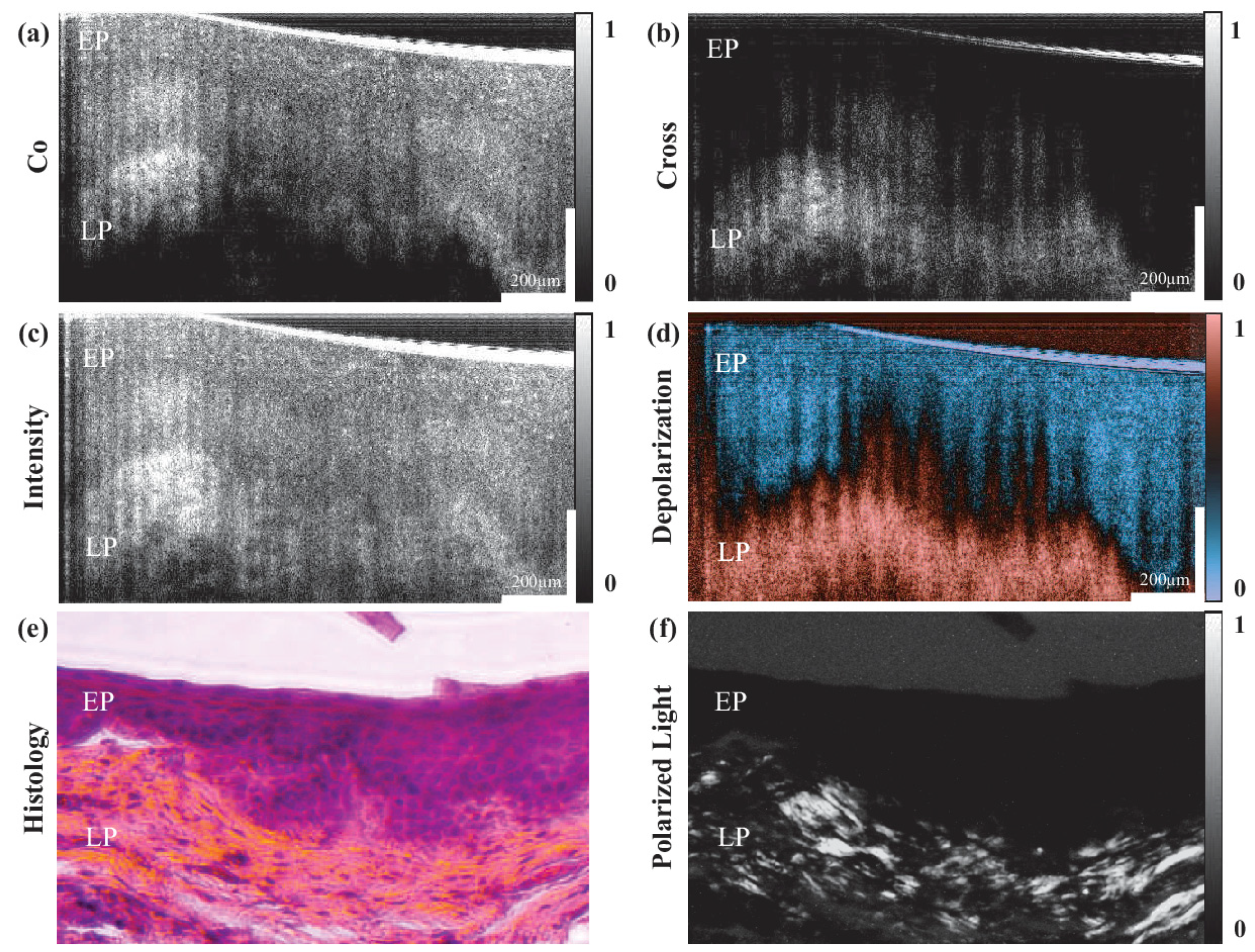 Photonics 09 00076 g003