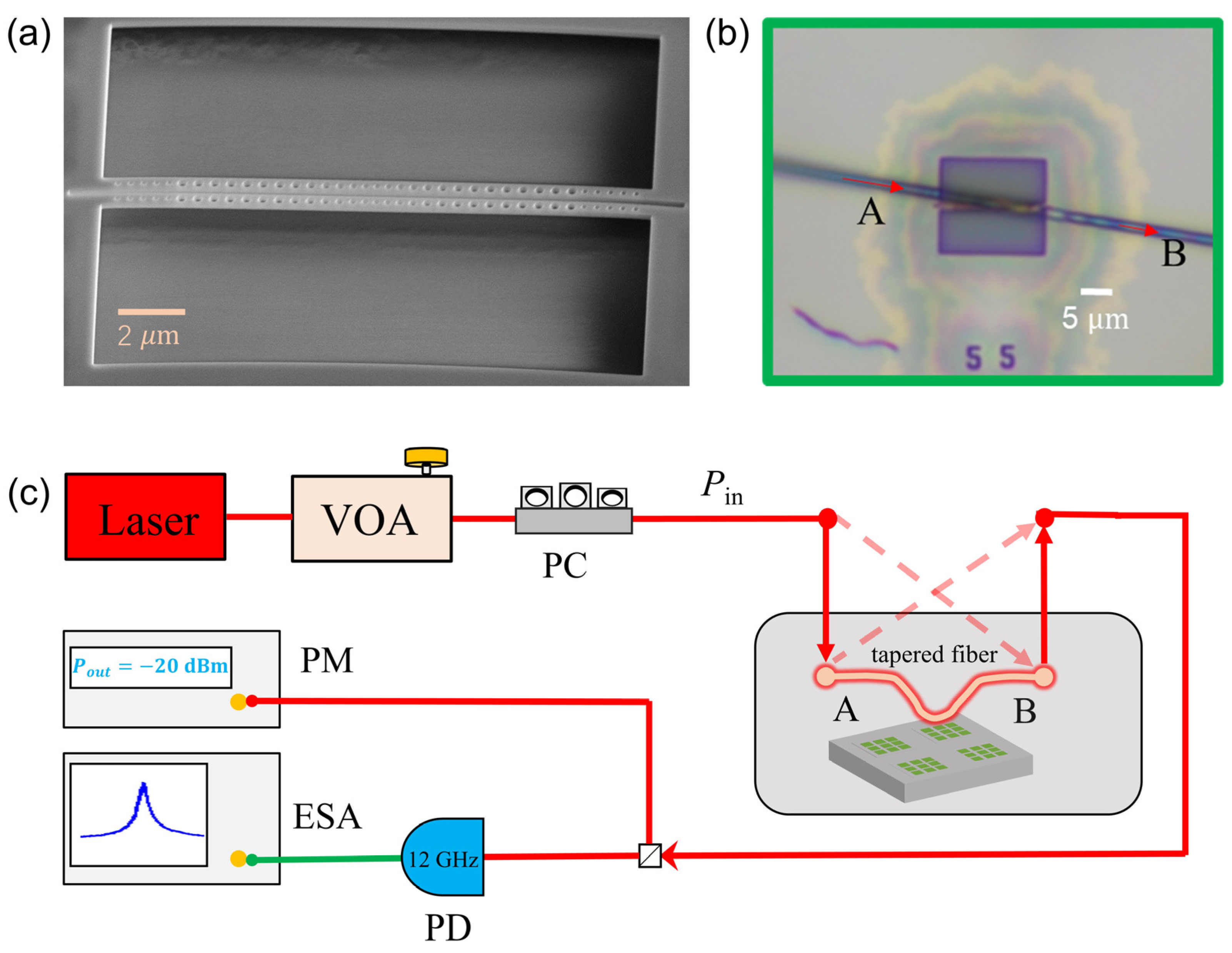 Photonics 09 00078 g003