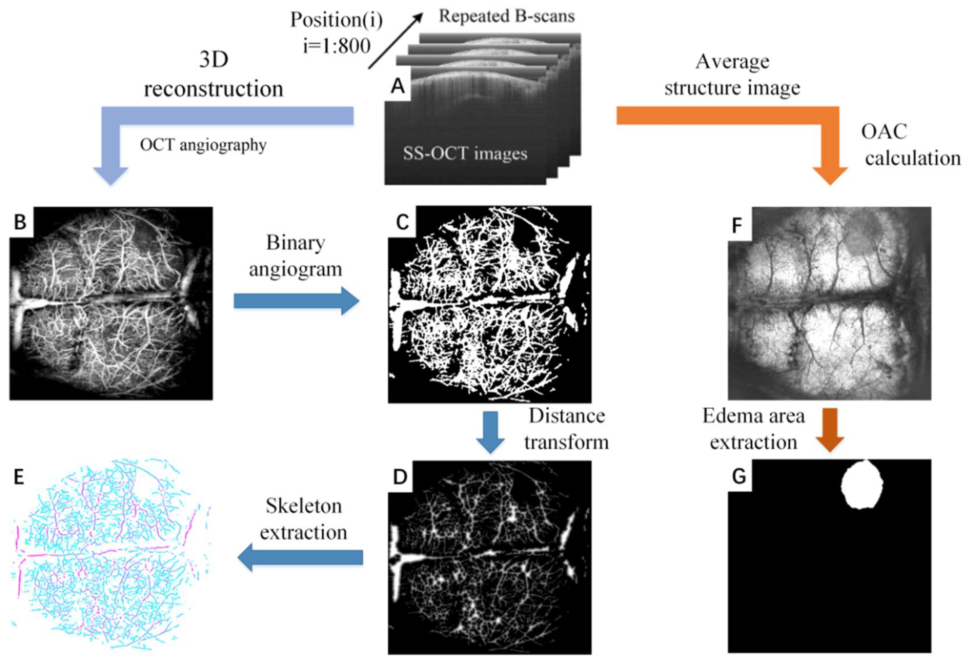 Photonics 09 00081 g001