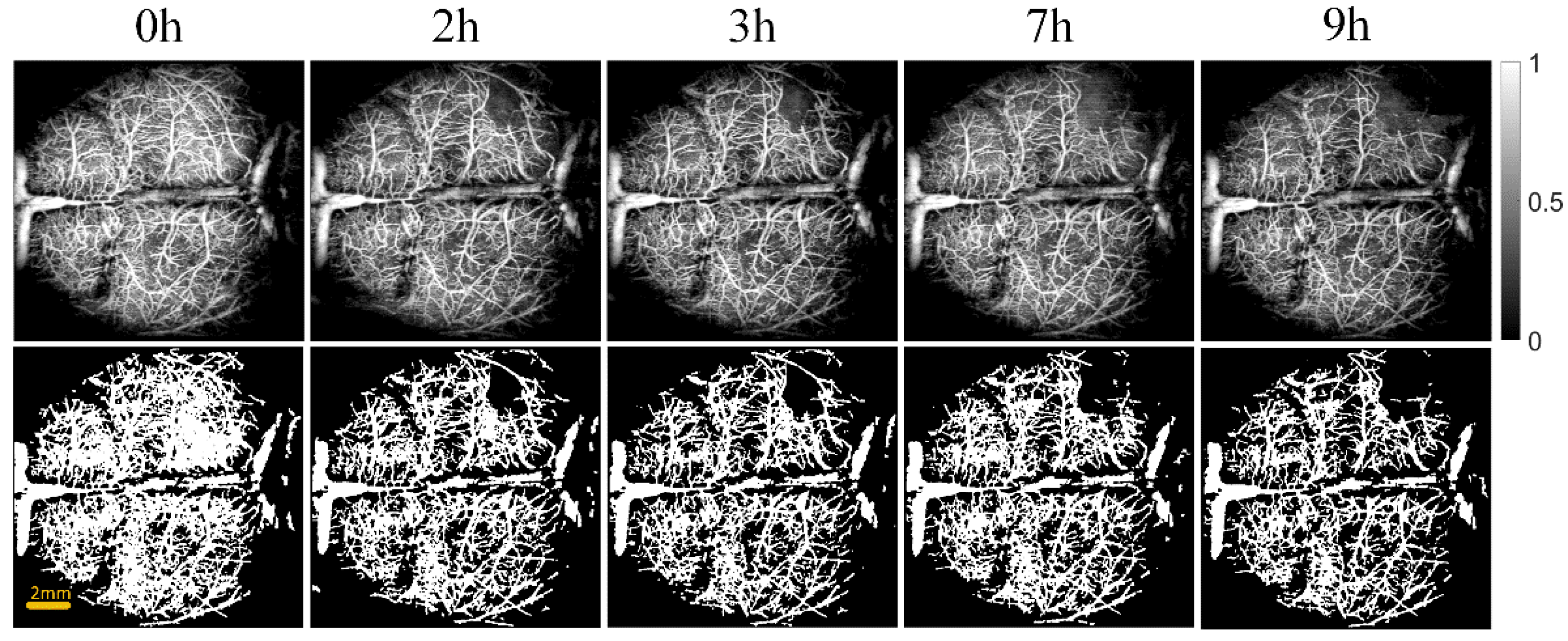 Photonics 09 00081 g004