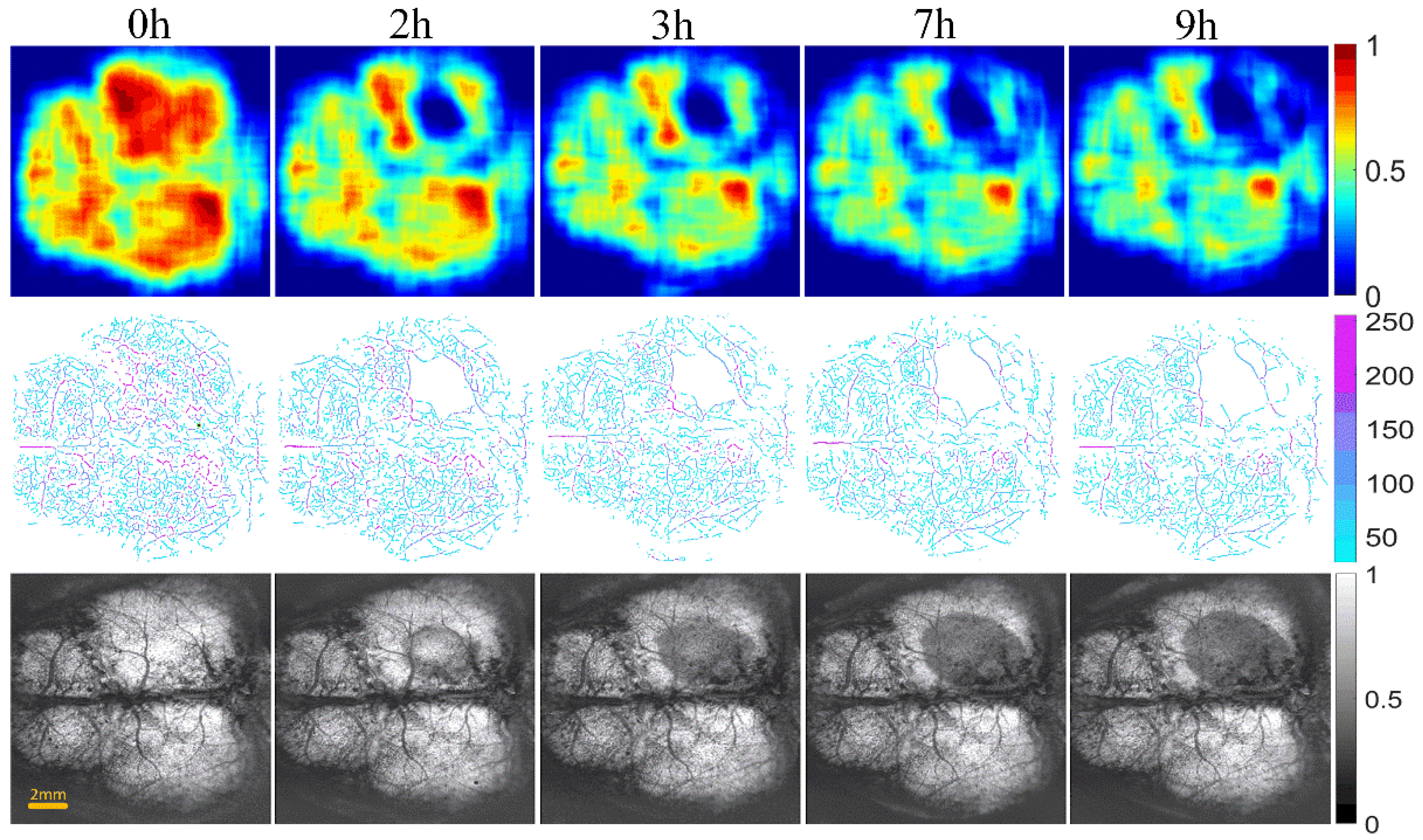 Photonics 09 00081 g006