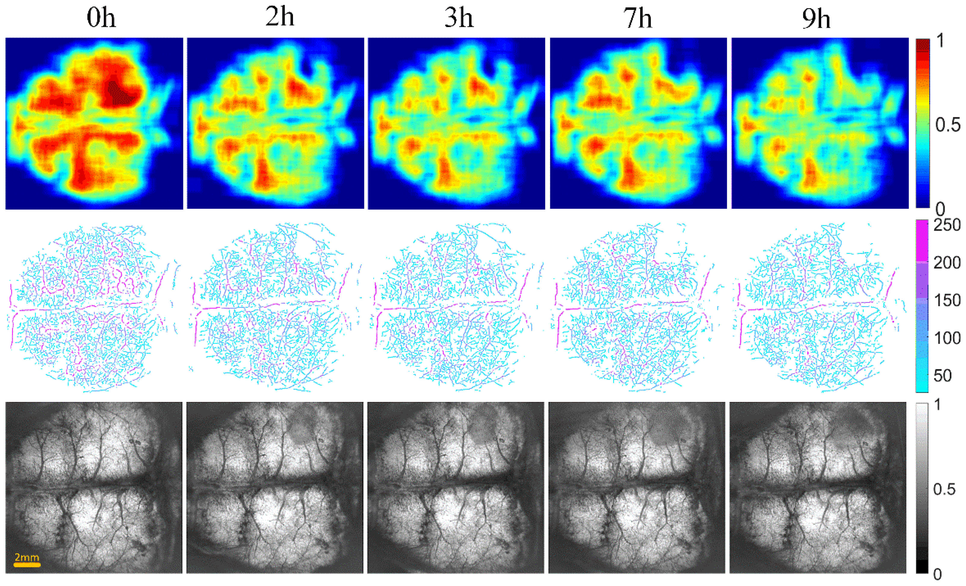 Photonics 09 00081 g007