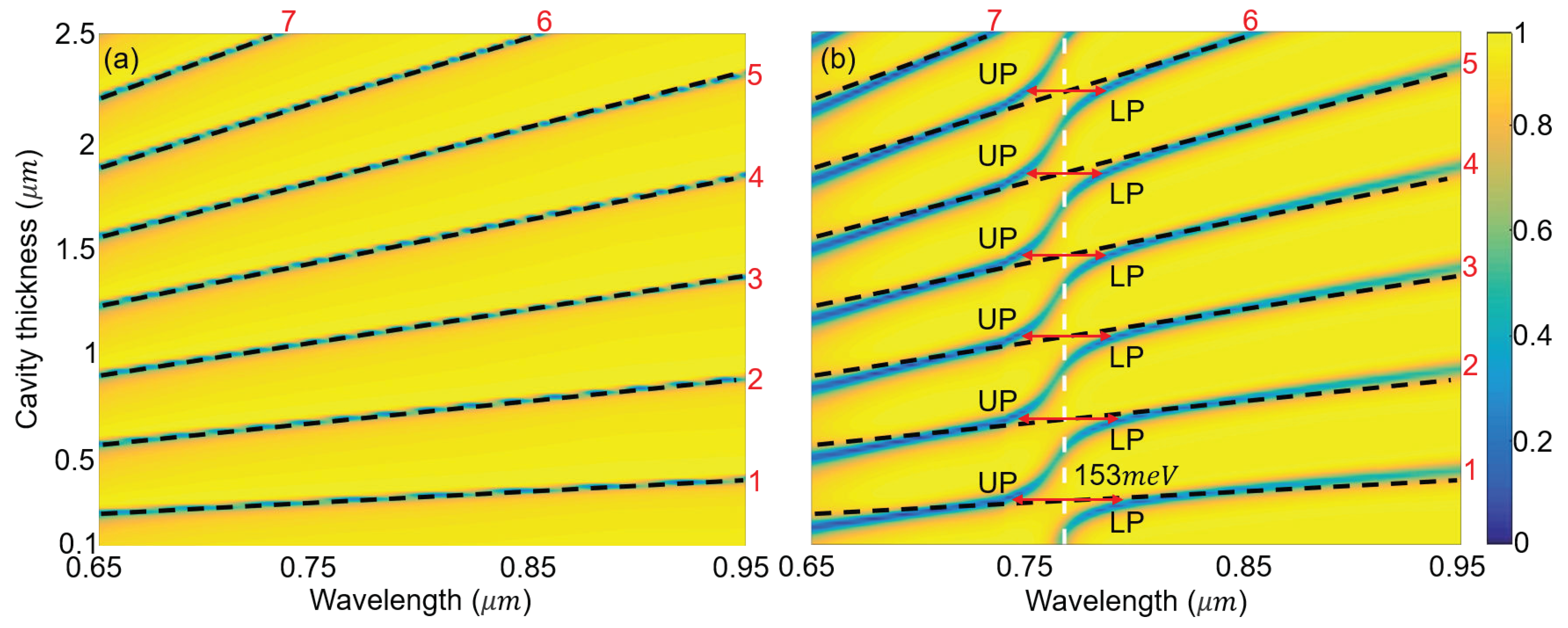 Photonics 09 00084 g003
