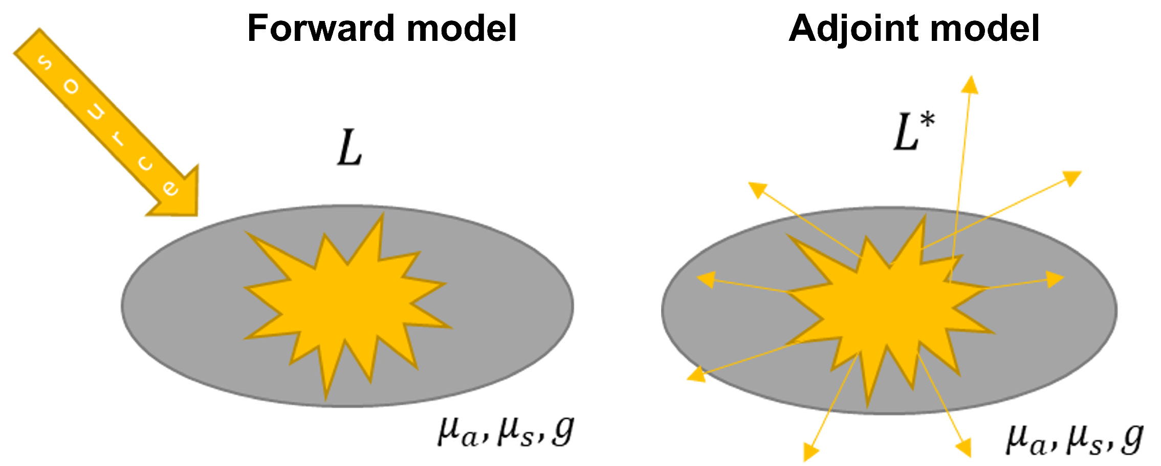 Photonics 09 00116 g005