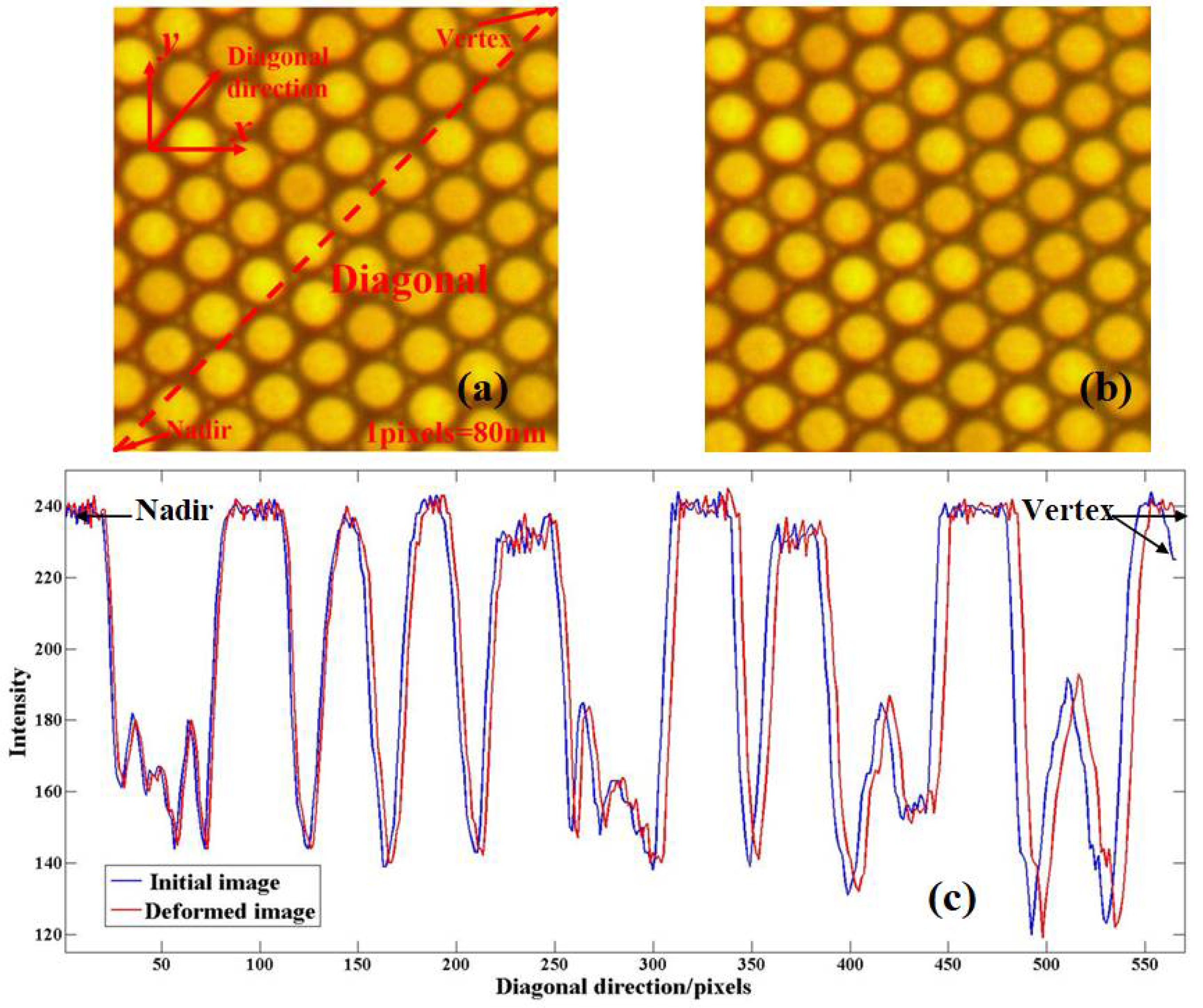 Photonics 09 00148 g009