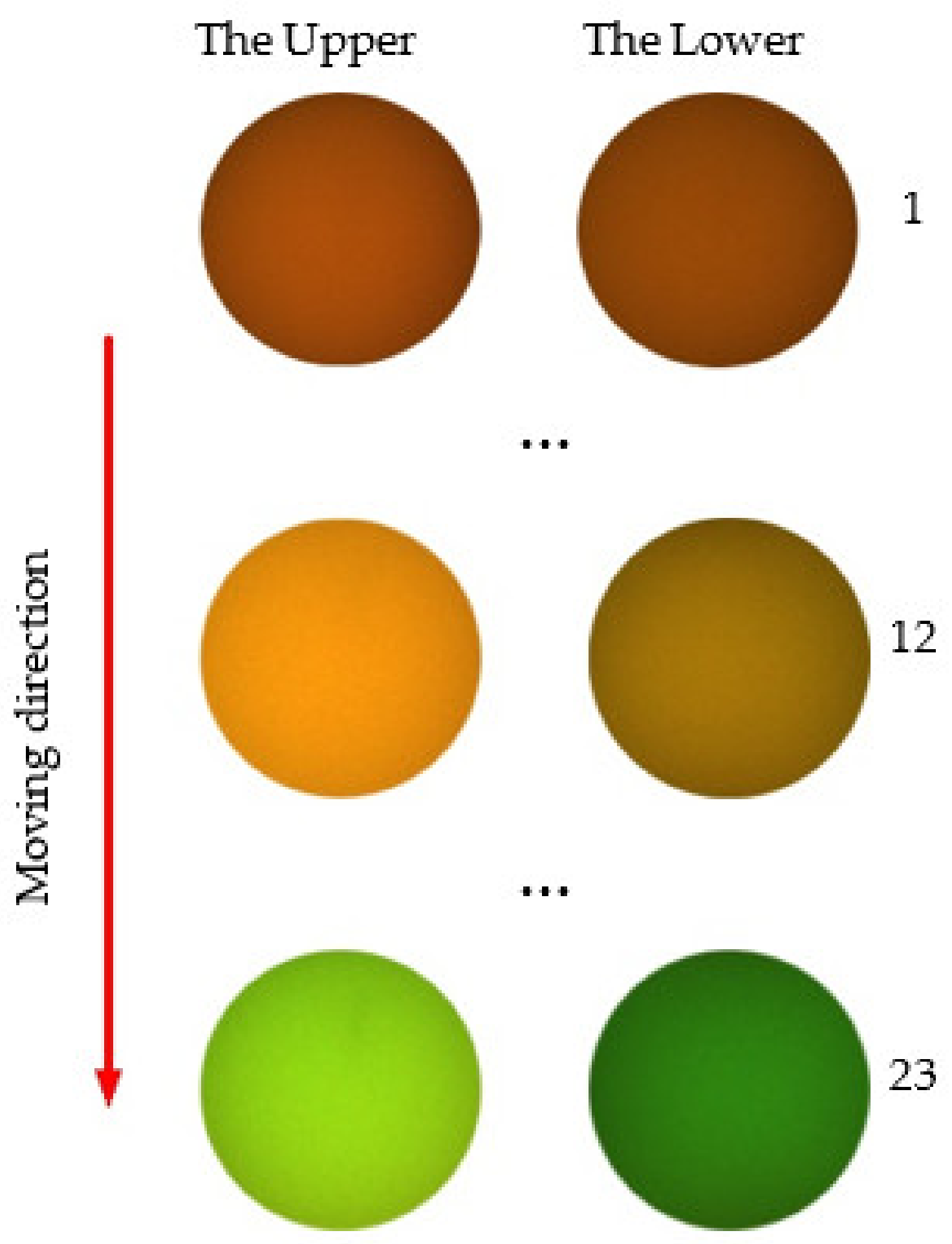 Photonics 09 00155 g010