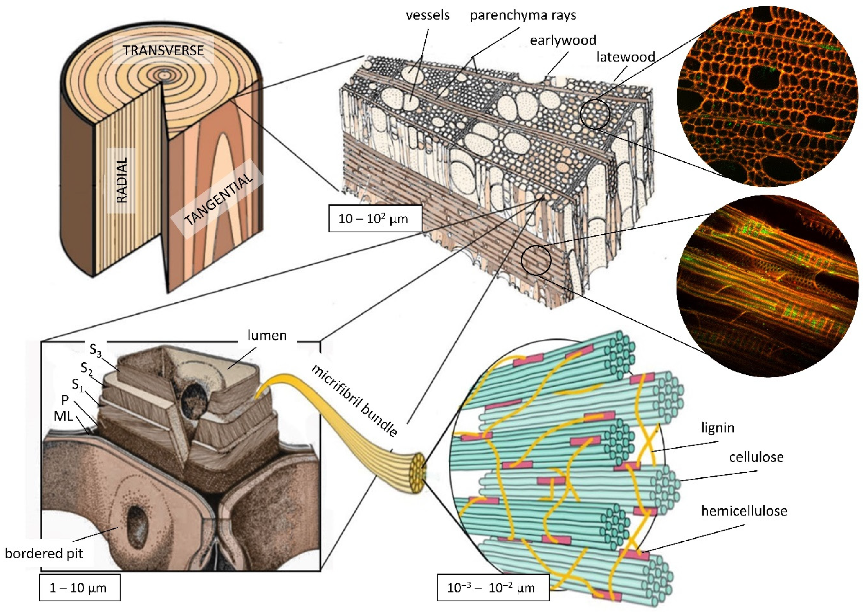 Photonics 09 00170 g001