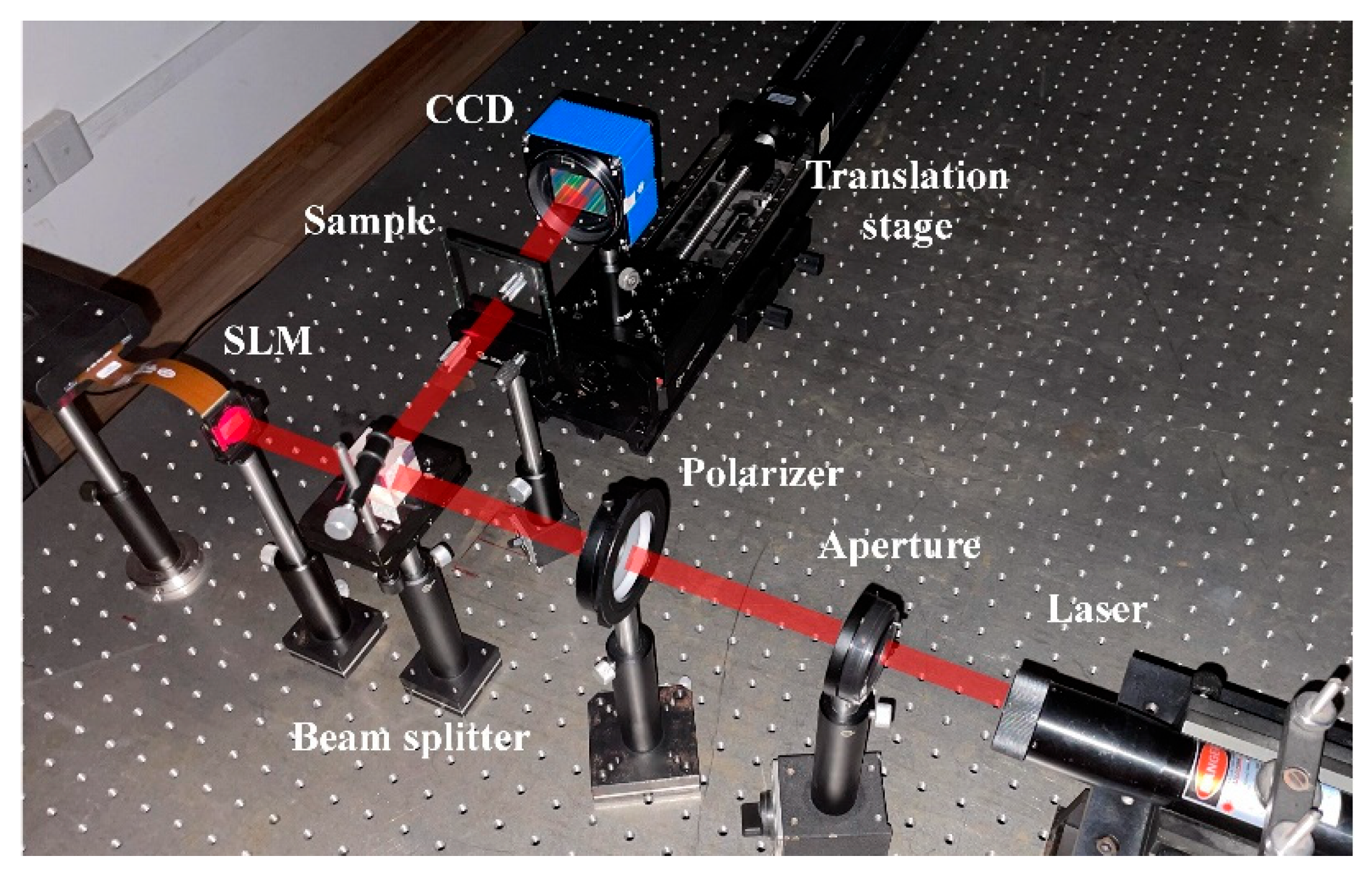 Photonics 09 00187 g008